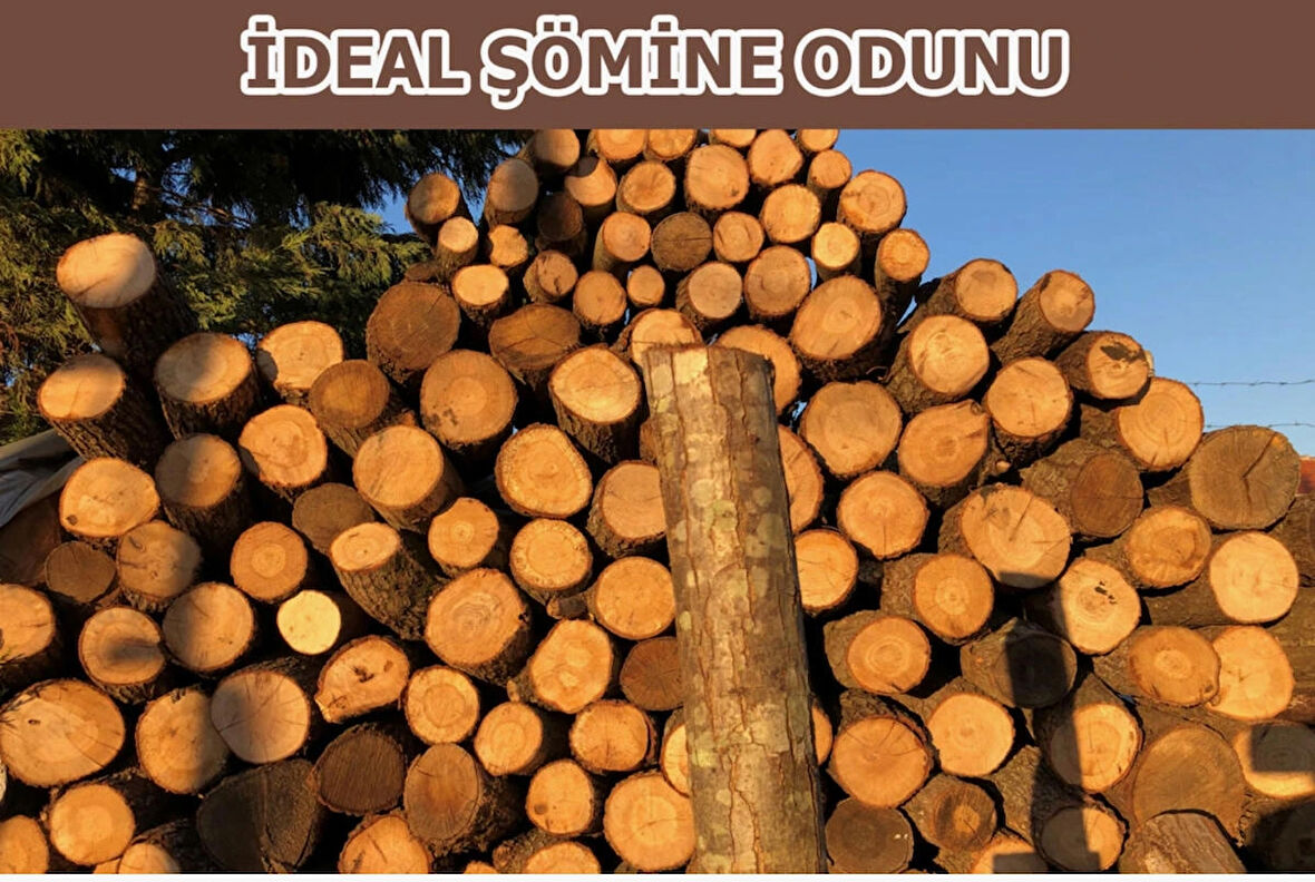 MEŞE ODUNU ÖZEL KESİM ŞÖMİNE ODUNU