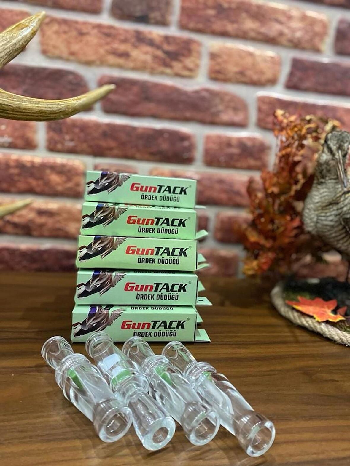 GUNTACK ÖRDEK DÜDÜĞÜ