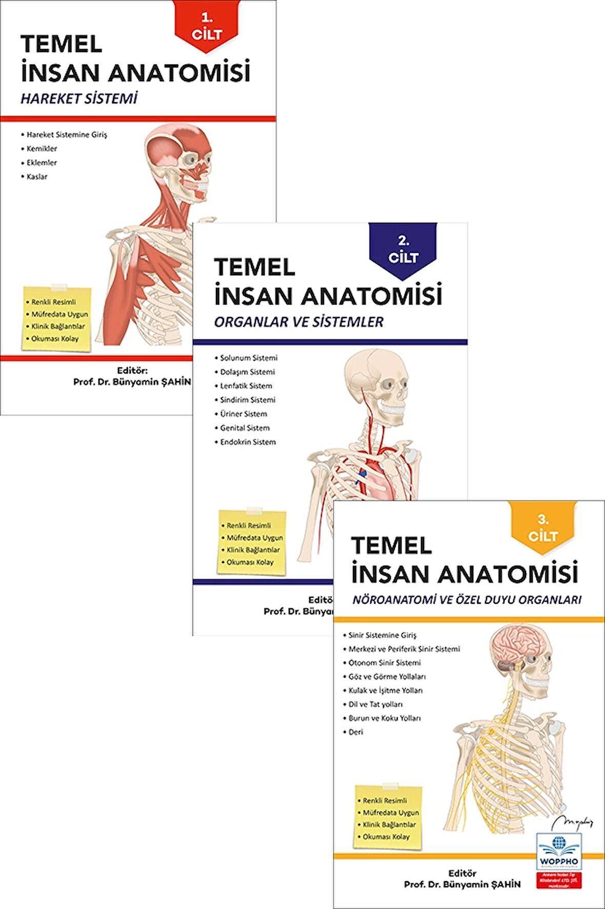 Temel Anatomi Seti 3LÜ
