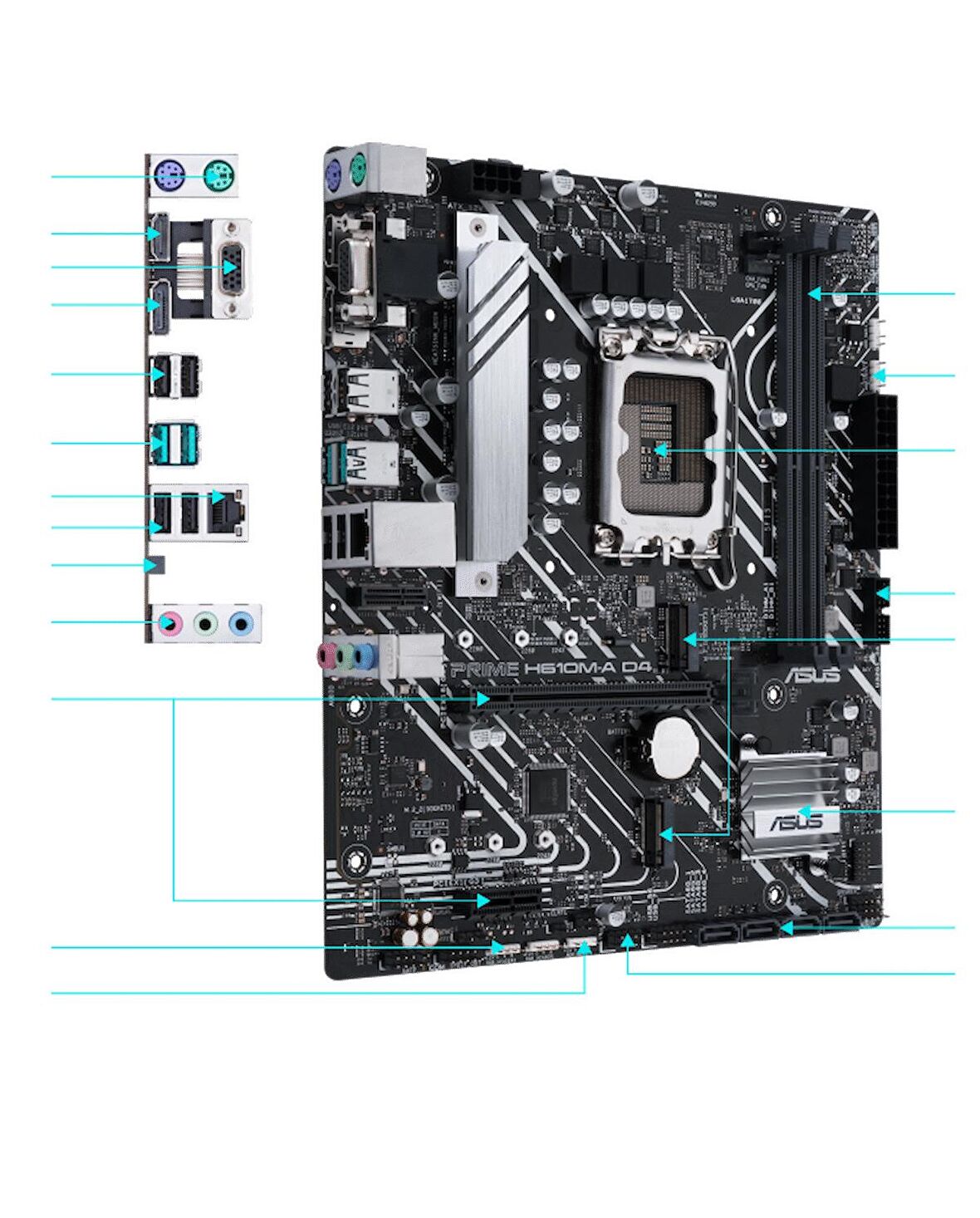  prime h610m-a d4 csm 1700p vga hdmi dp