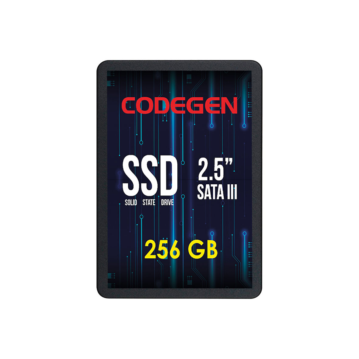 256 GB 2.5" SATA3 SSD 500/450 (CDG-256GB-SSD25)