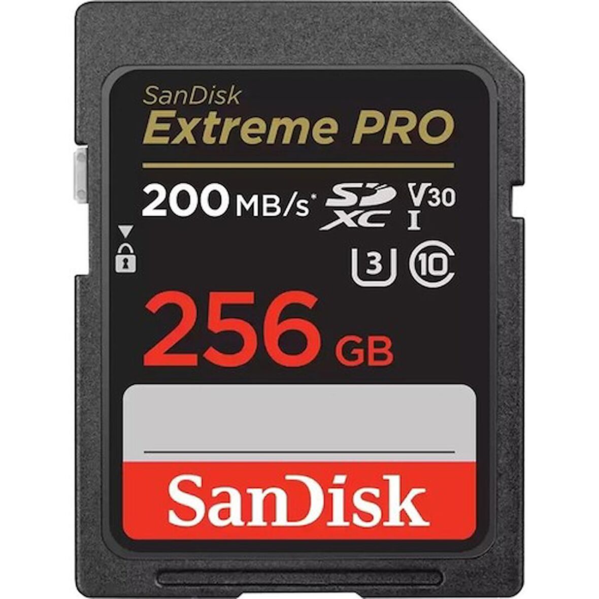 256GB SD KART 200Mb/s EXT PRO C10  SDSDXXD-256G-GN4IN