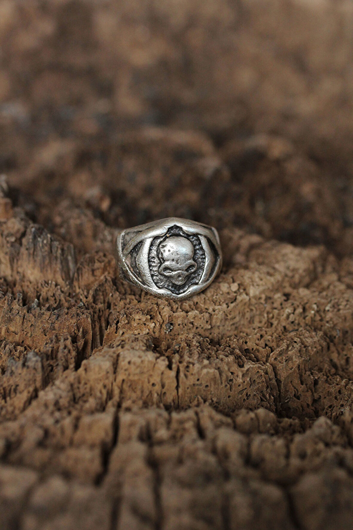 Ayarlanabilir Kuru Kafa Tasarımlı Erkek Yüzük - TJ-EY384