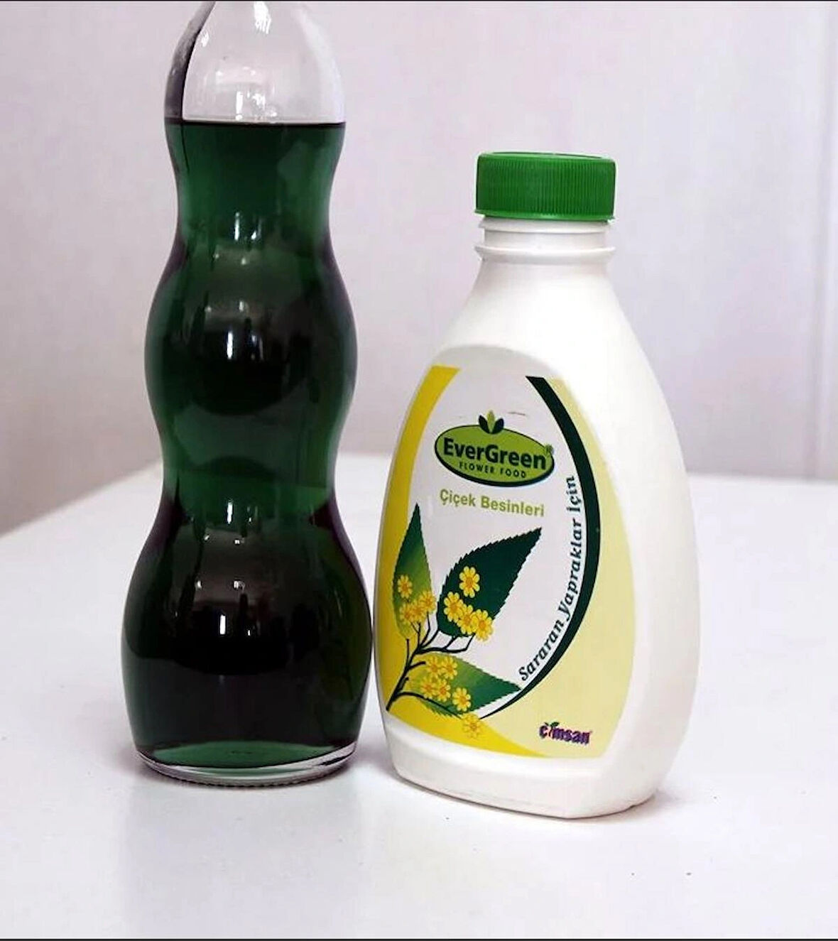 Evergreen Yaprak Sararmalarını Önleyici Tonik 500 ml