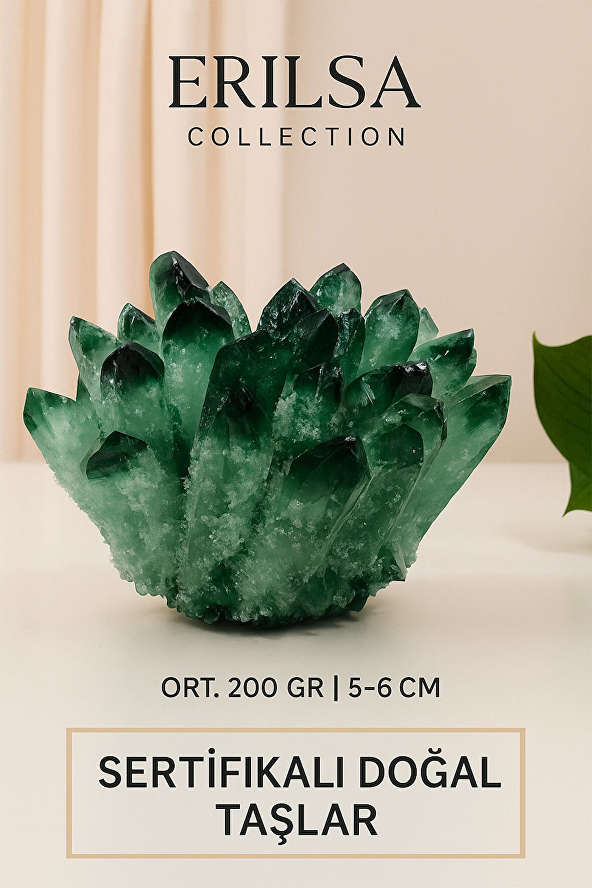 Sertifikalı Yeşil Florit Dikenli Küme Taşı – Zihin Açan Şifa Kristali ve Dekoratif Enerji Kümesi