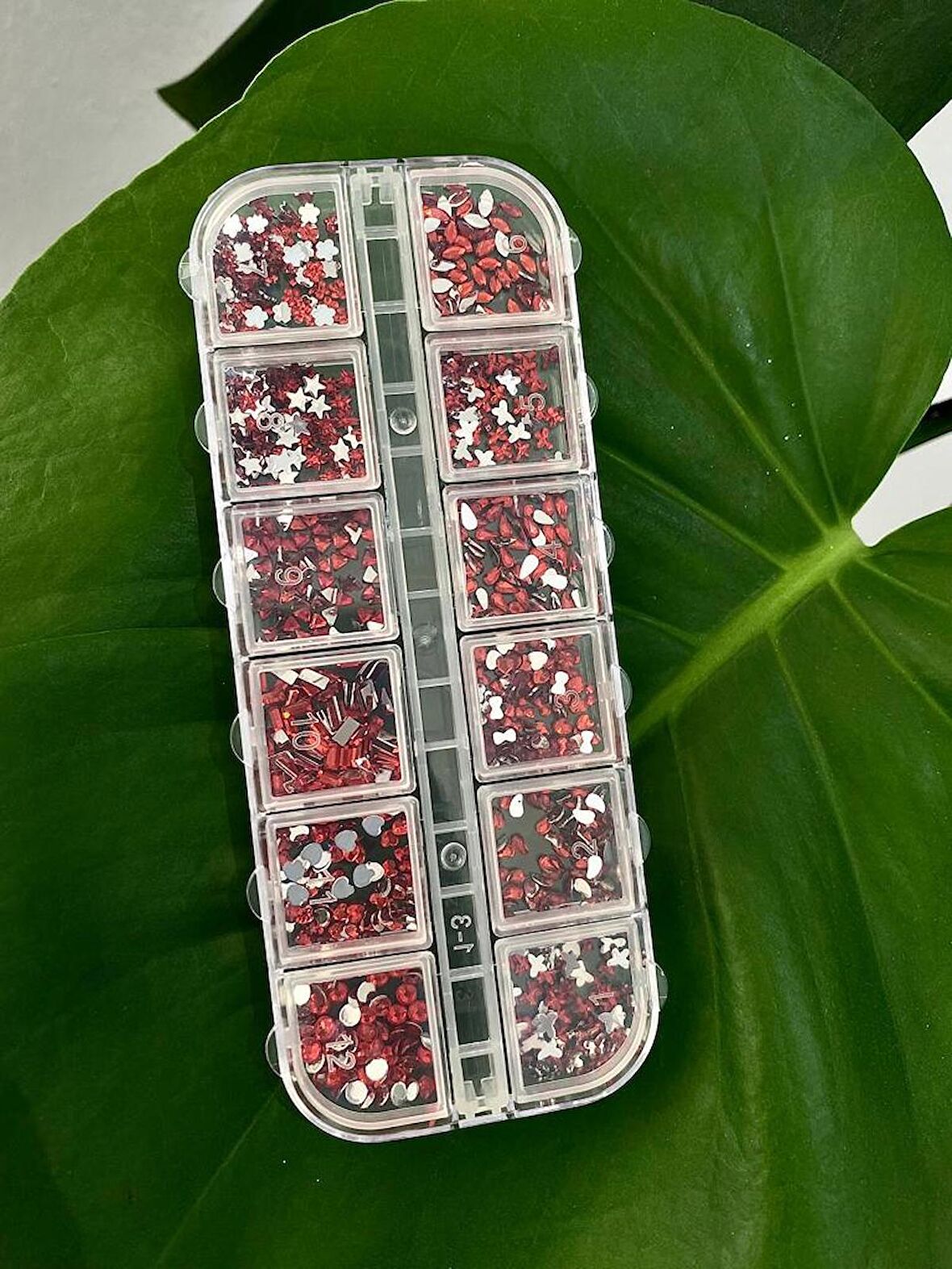 Nail Art Tırnak Süsleme Karışık Desen Kırmızı Renk 12'li