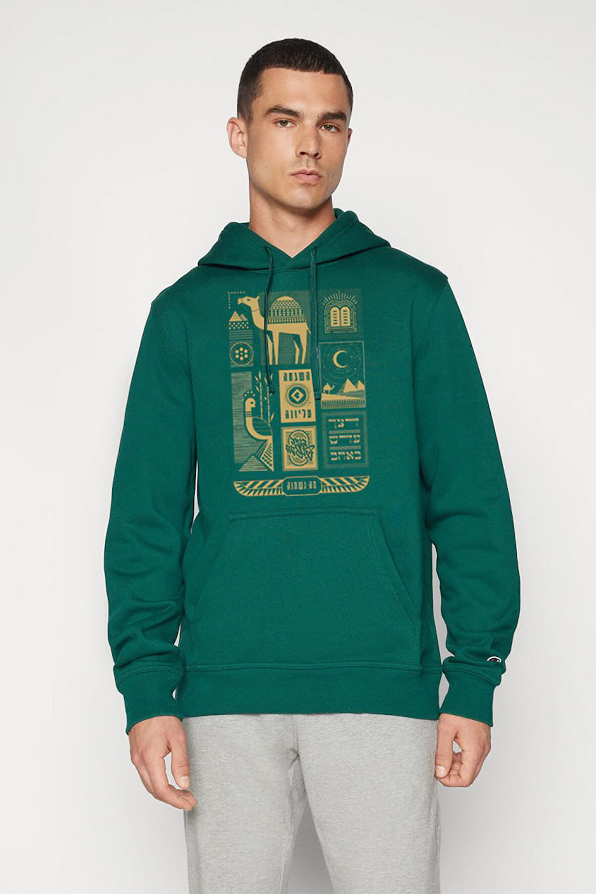 Baskılı Kapşonlu Sweatshirt FM1.192YÖ