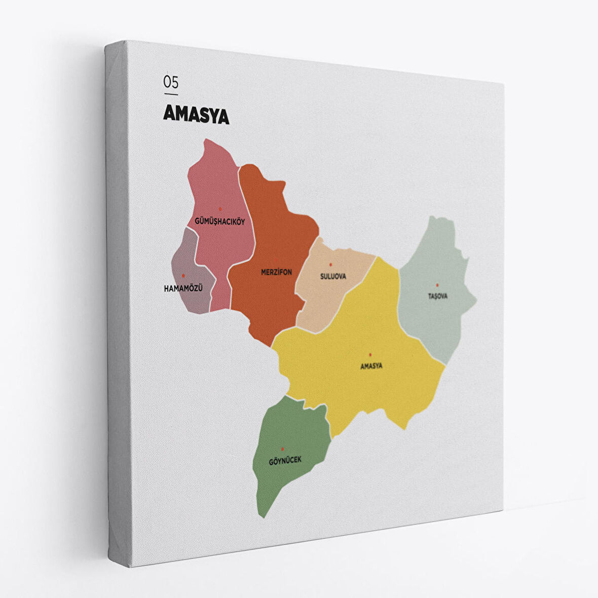 Amasya  İli ve İlçeler Haritası  Dekoratif Kanvas Tablo 1262