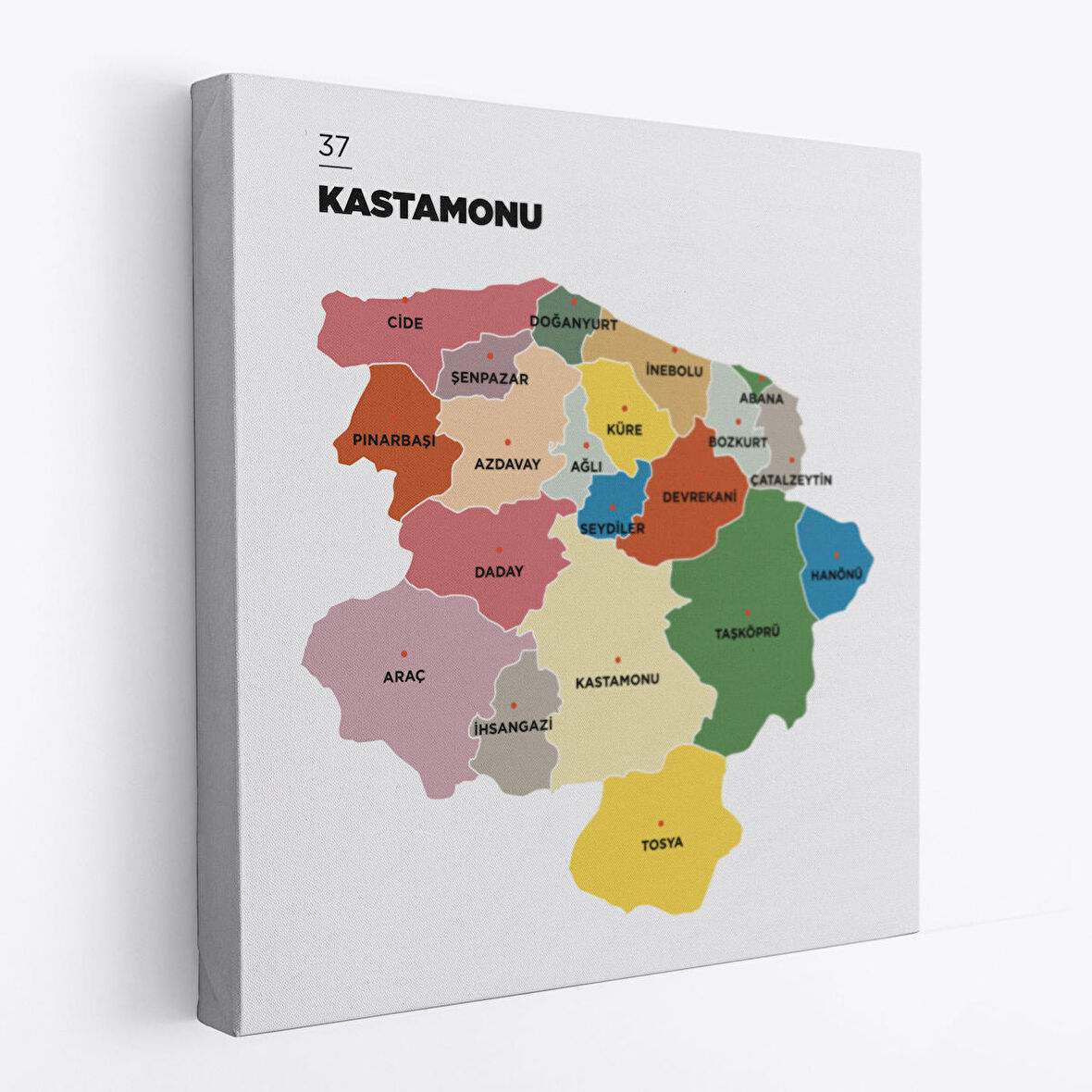 Kastamonu İli ve İlçeler Haritası  Dekoratif Kanvas Tablo 1383
