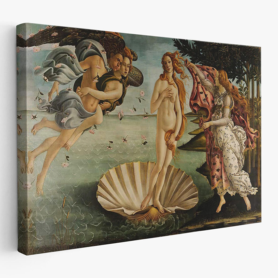 Sandro Botticelli'nin  Venüs'ün Doğuşu İsimli Eseri-5163