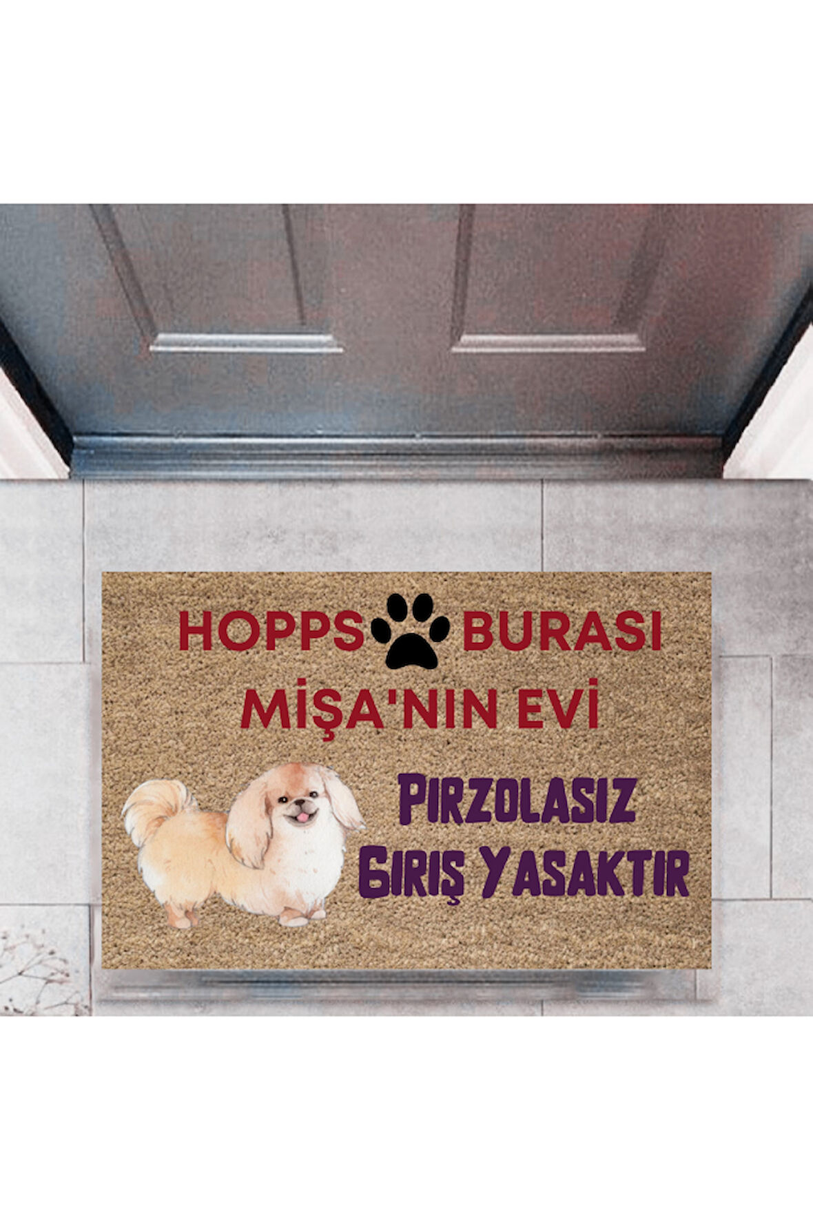 Kapı Önü Paspası Dekoratif Dijital Baskı Hopps  P-2474