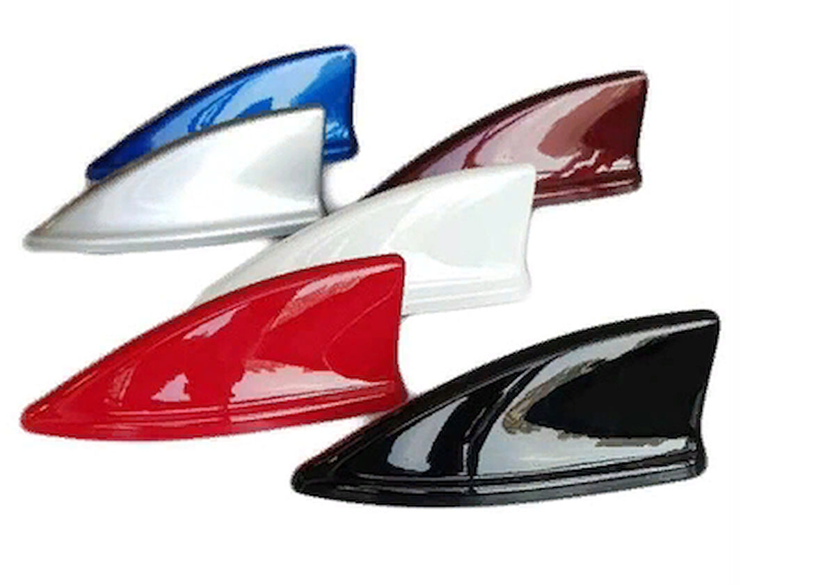 Universal Balık Sırtı Boyasız