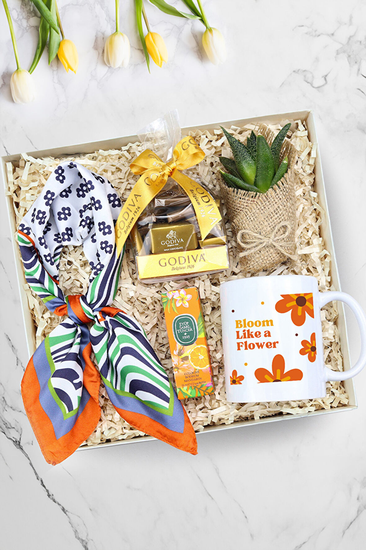 Kupa & Tasarım Fular & Godiva Napoliten Çikolata & Canlı Sukulent Çiçek & Mini Kolonya Hediye Seti