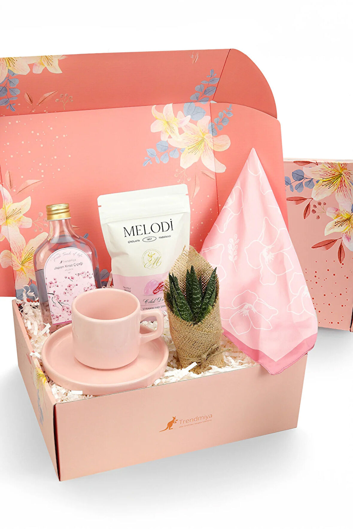 Fincan & Kolonya & Canlı Sukulent Çiçek & Melodi Draje & Fular Hediye Seti