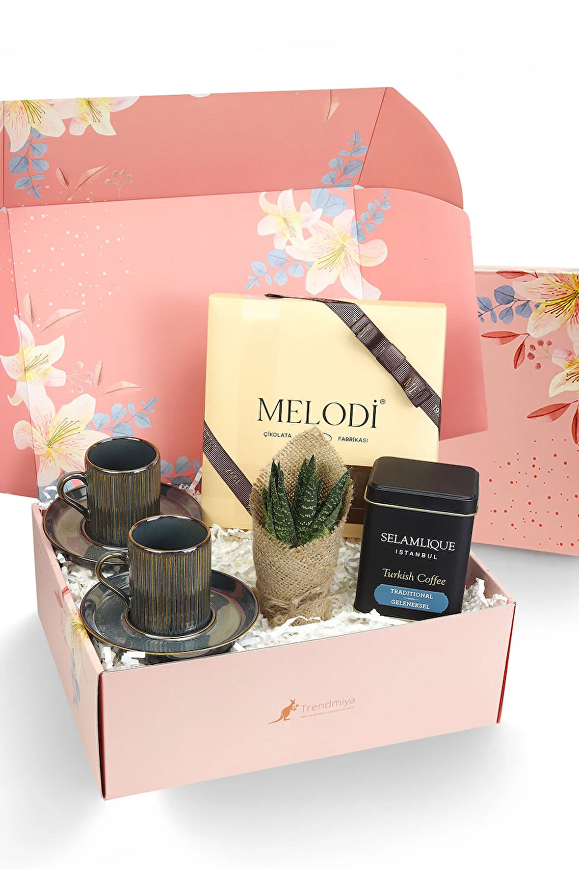 2li Fincan & Melodi Çikolata & Türk Kahvesi& Canlı Sukulent Çiçek Hediye Seti
