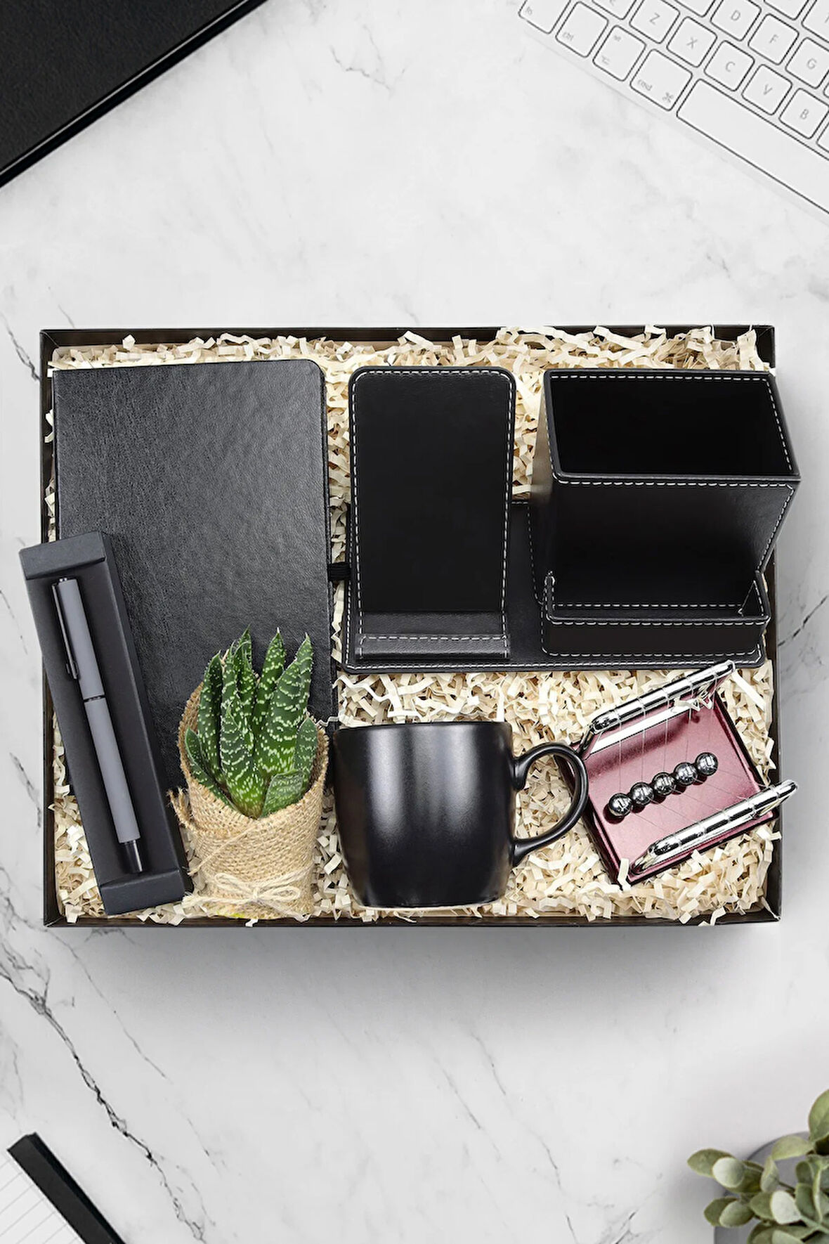 Kalemlik & Siyah Defter & Kalem & Denge Topu & Siyah Kupa & Canlı Sukulent Çiçek Hediye Seti