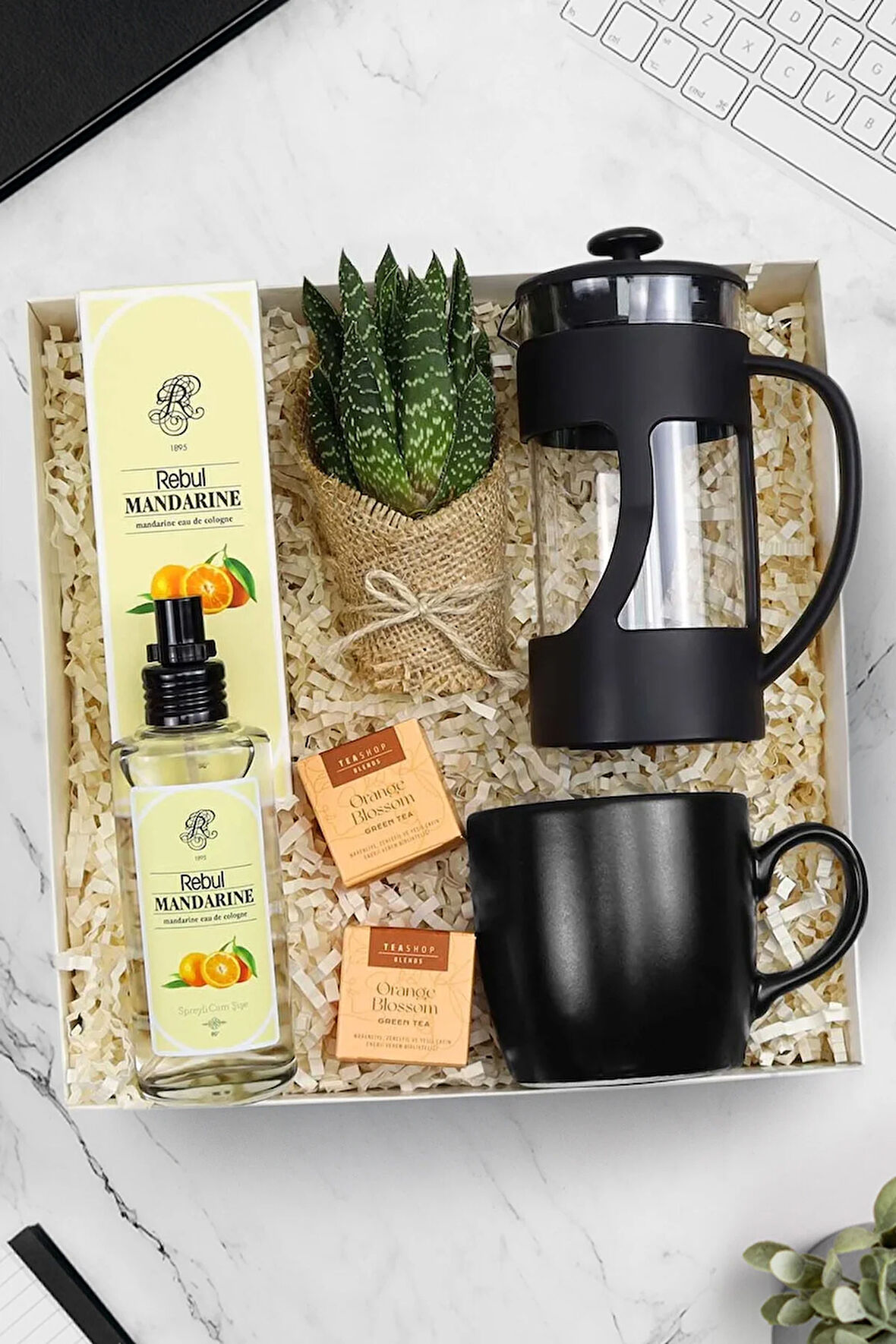 French Press & Siyah Kupa & Kolonya & Canlı Sukulent Çiçek & Teashop 2'li Bitki Çayı Hediye Seti