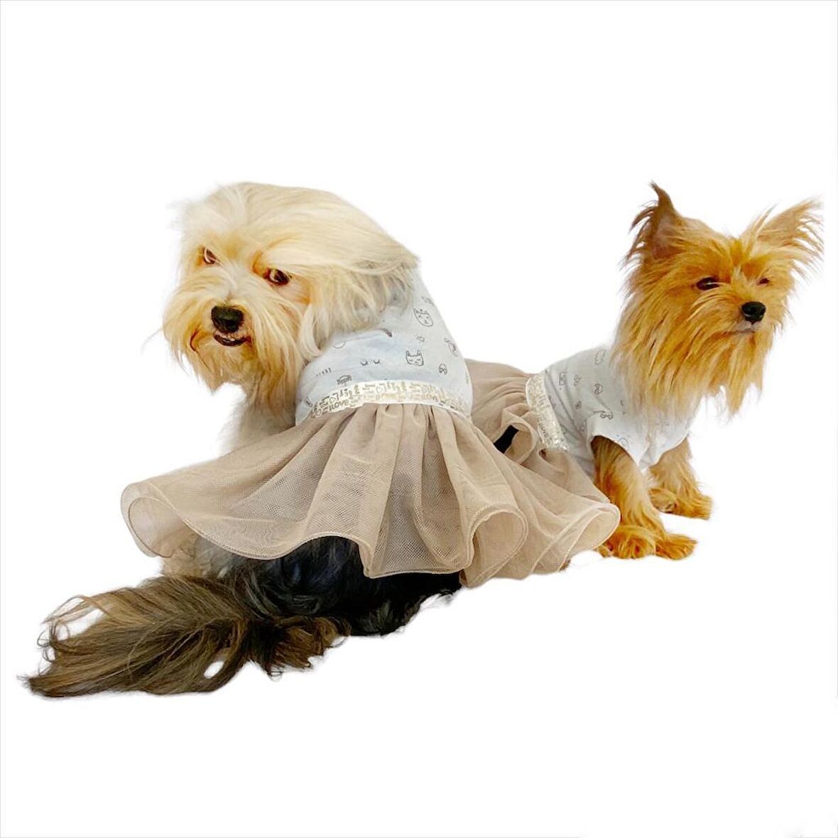 Sun Cream Duo Tütülü Köpek Elbisesi,  Kıyafeti Tutu