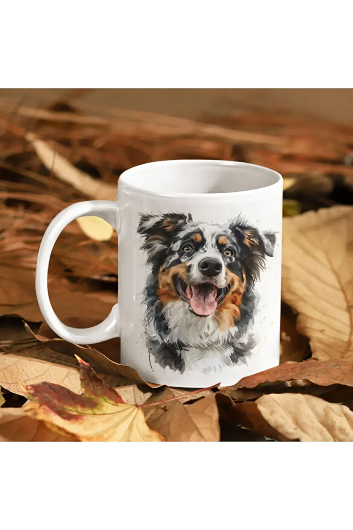 Aussie Köpekli Kupa