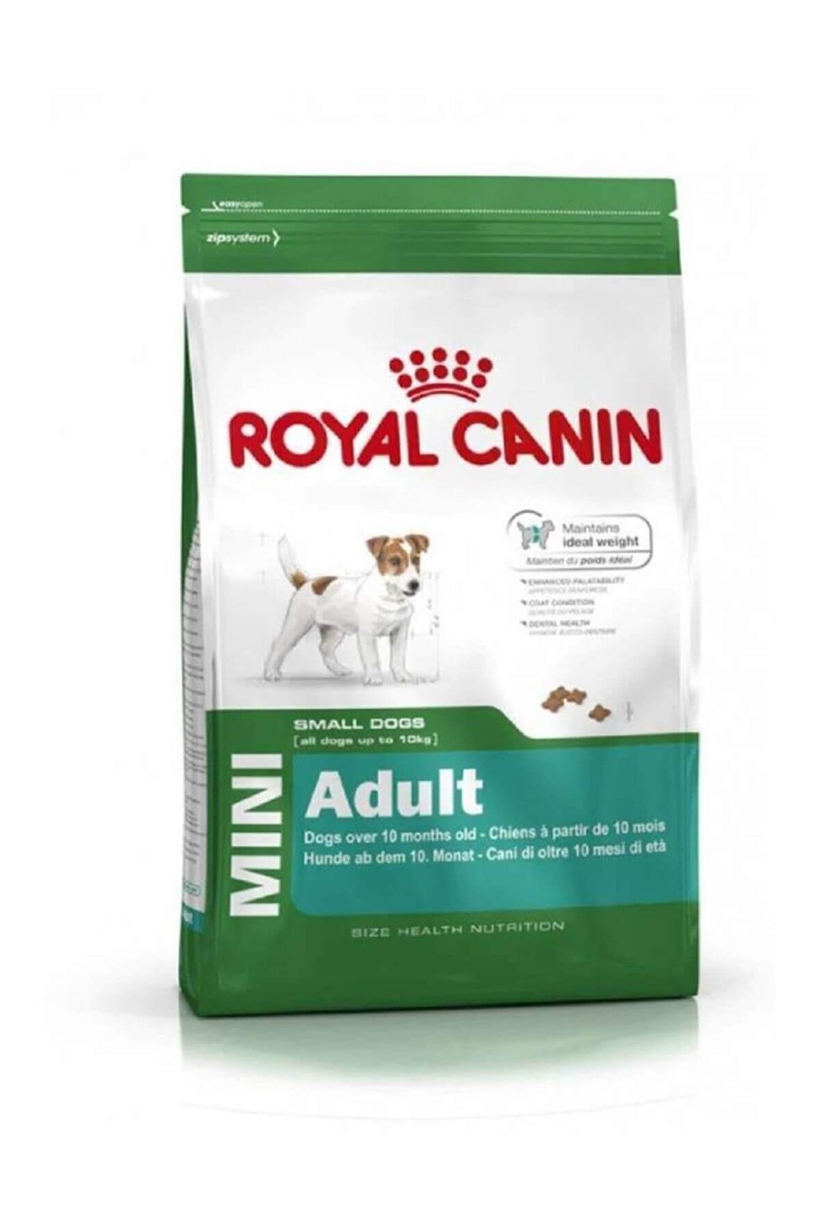 Royal Canin Mini Adult Küçük Irk Yetişkin Kuru Köpek Maması 4 kg