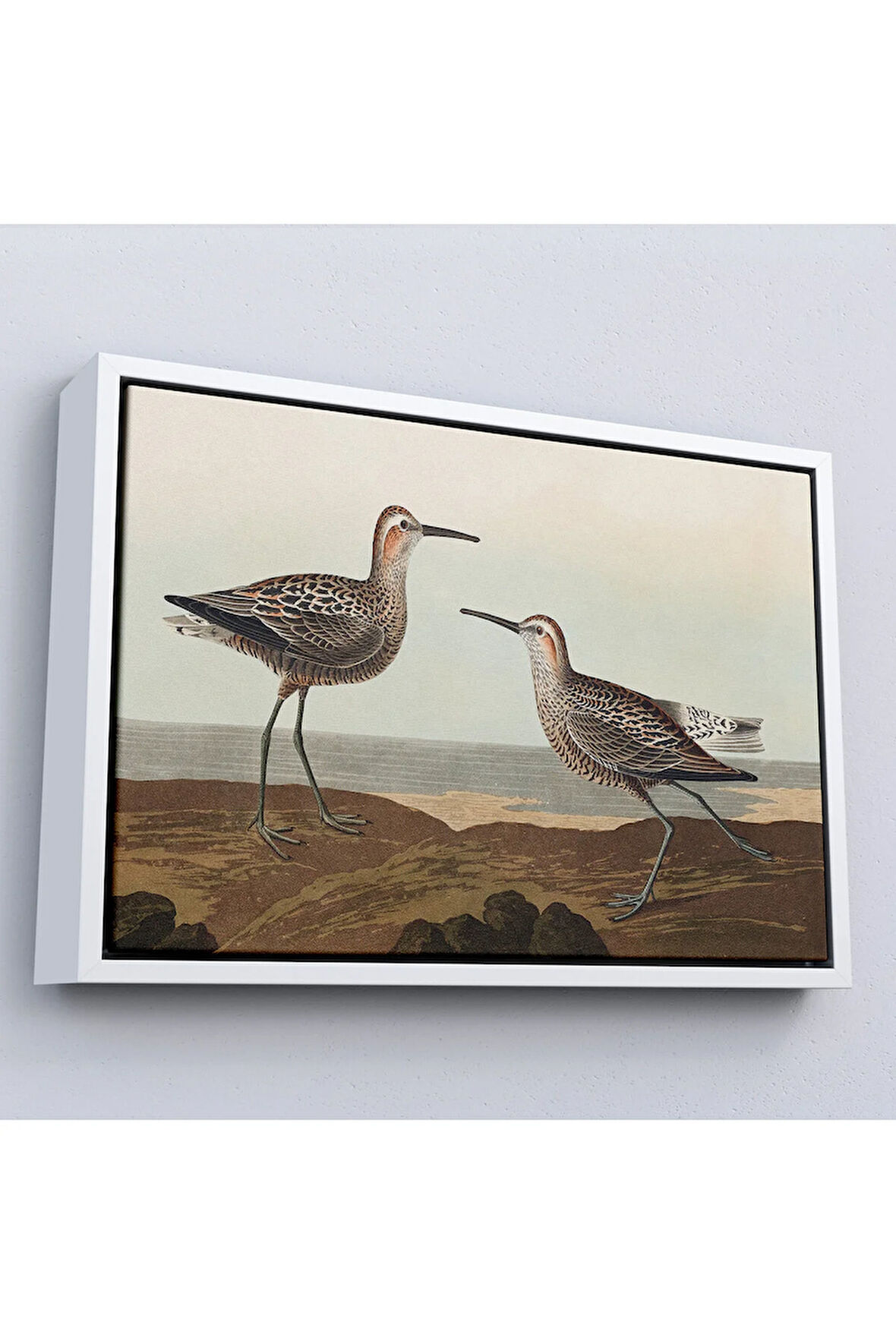 Ahşap Çerçeveli Uzun Bacaklı Çulluk Vintage Tablosu