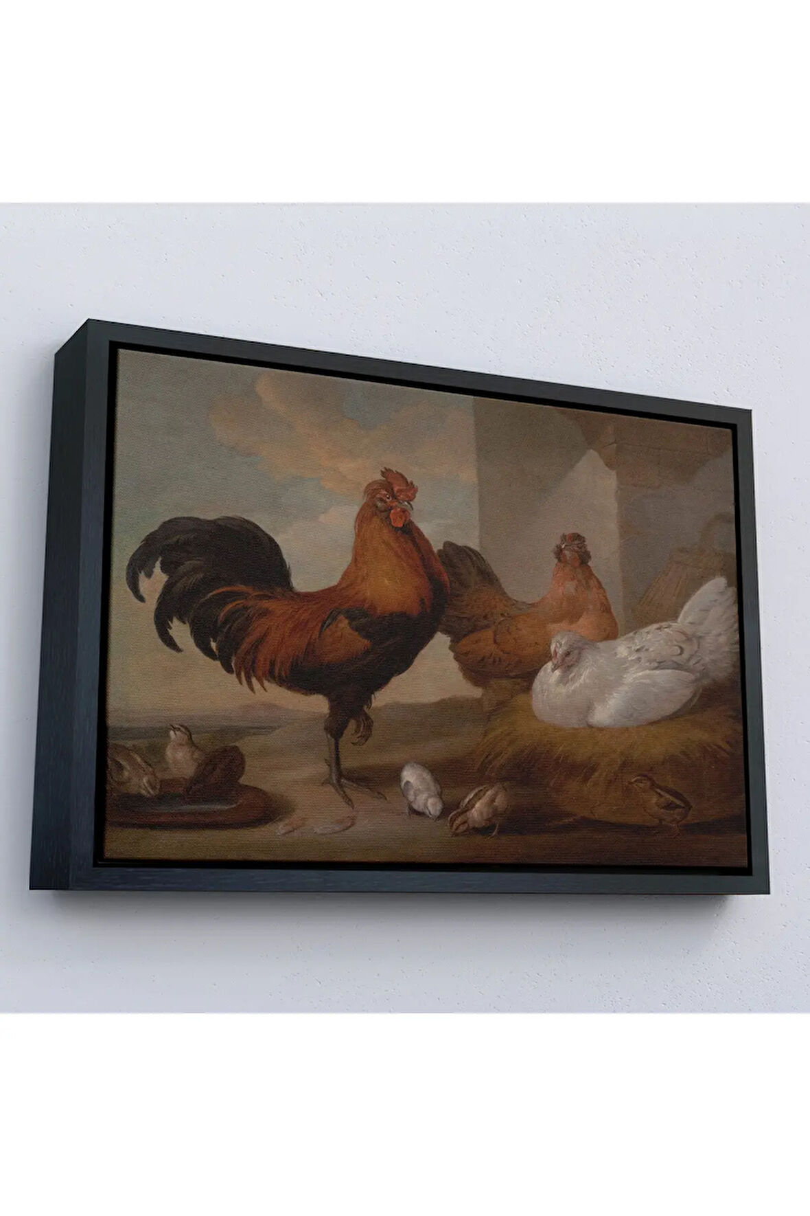 Ahşap Çerçeveli Francis Barlow - Evcil Horoz, Tavuklar Ve Civcivler Tablosu-7067