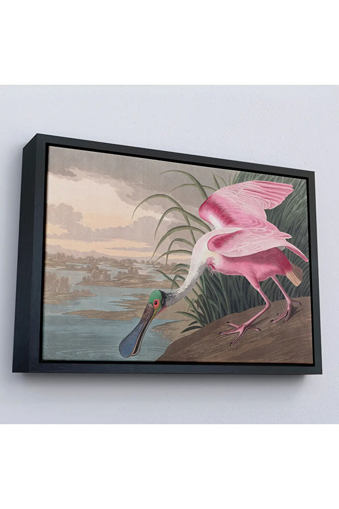 Ahşap Çerçeveli John James Audubon - Pembe Kaşıkçı Kuşu Tablo-7120