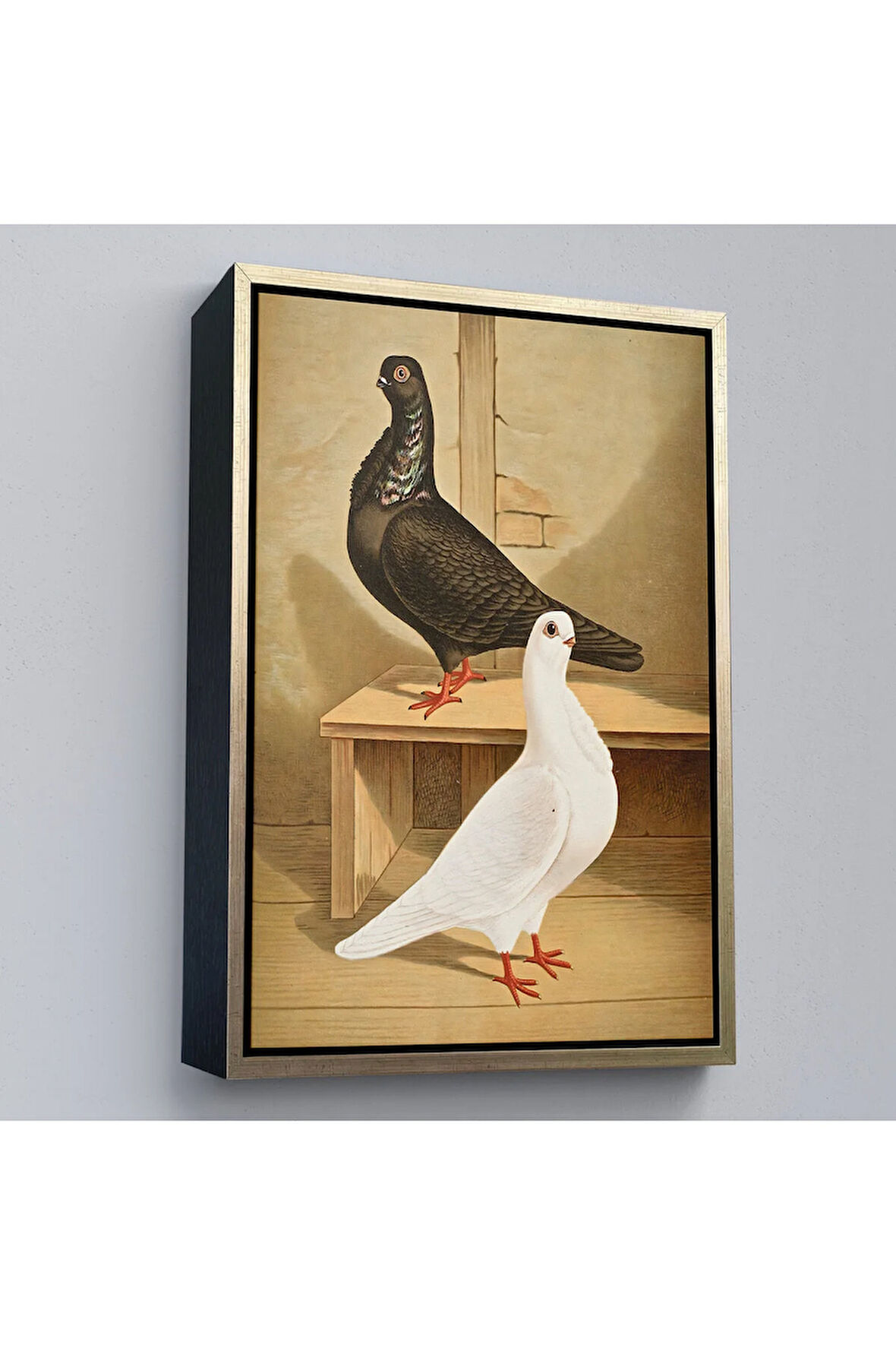 Ahşap Çerçeveli Gustav Prütz - Sevimli İtalyan Güvercinleri Tablo-7320