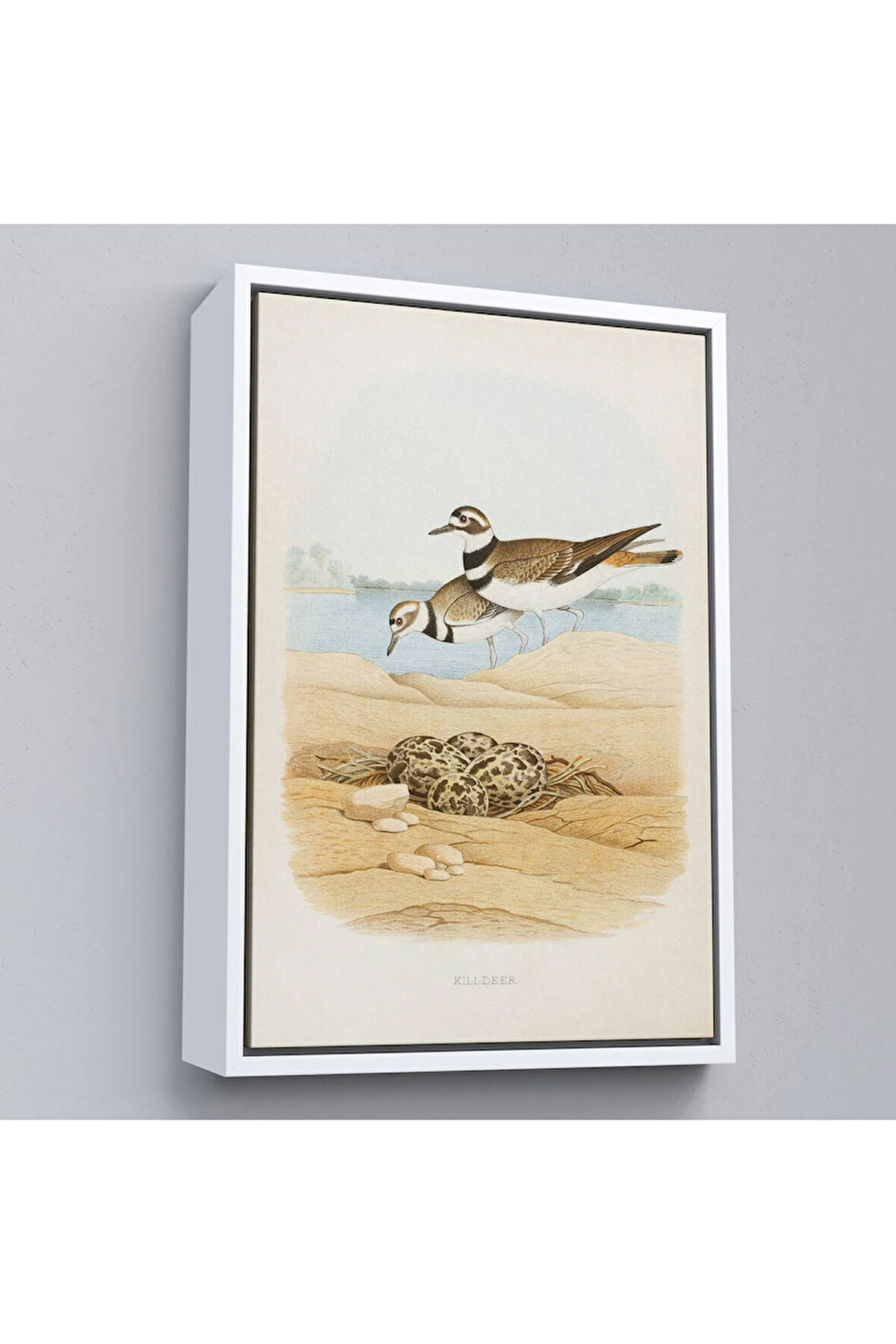 Ahşap Çerçeveli Edwin L. Sheppard - Öldürücü Tablo - Killdeer-7338