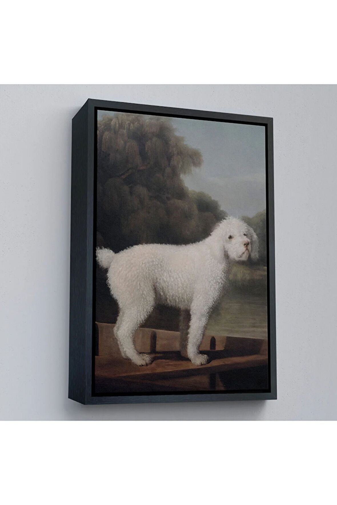 Ahşap Çerçeveli George Stubbs Beyaz Kaniş Tablo-8034