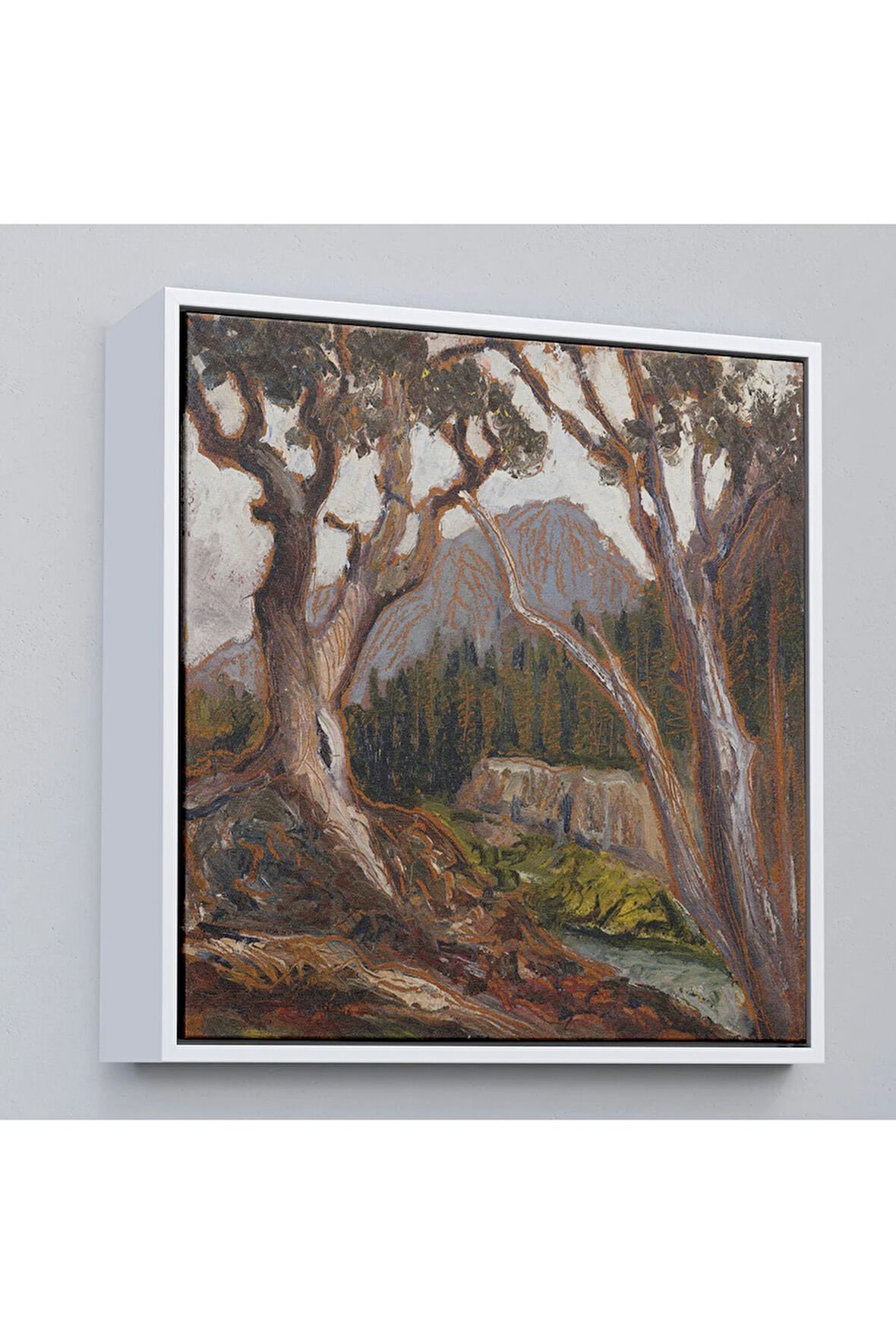 Ahşap Çerçeveli Loch Vale'Den Long Zirvesi, Estes Park, Colorado Tablosu-8349