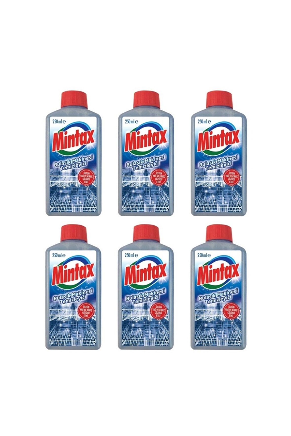 Bulaşık Makinesi Temizleyici 250 ml X6