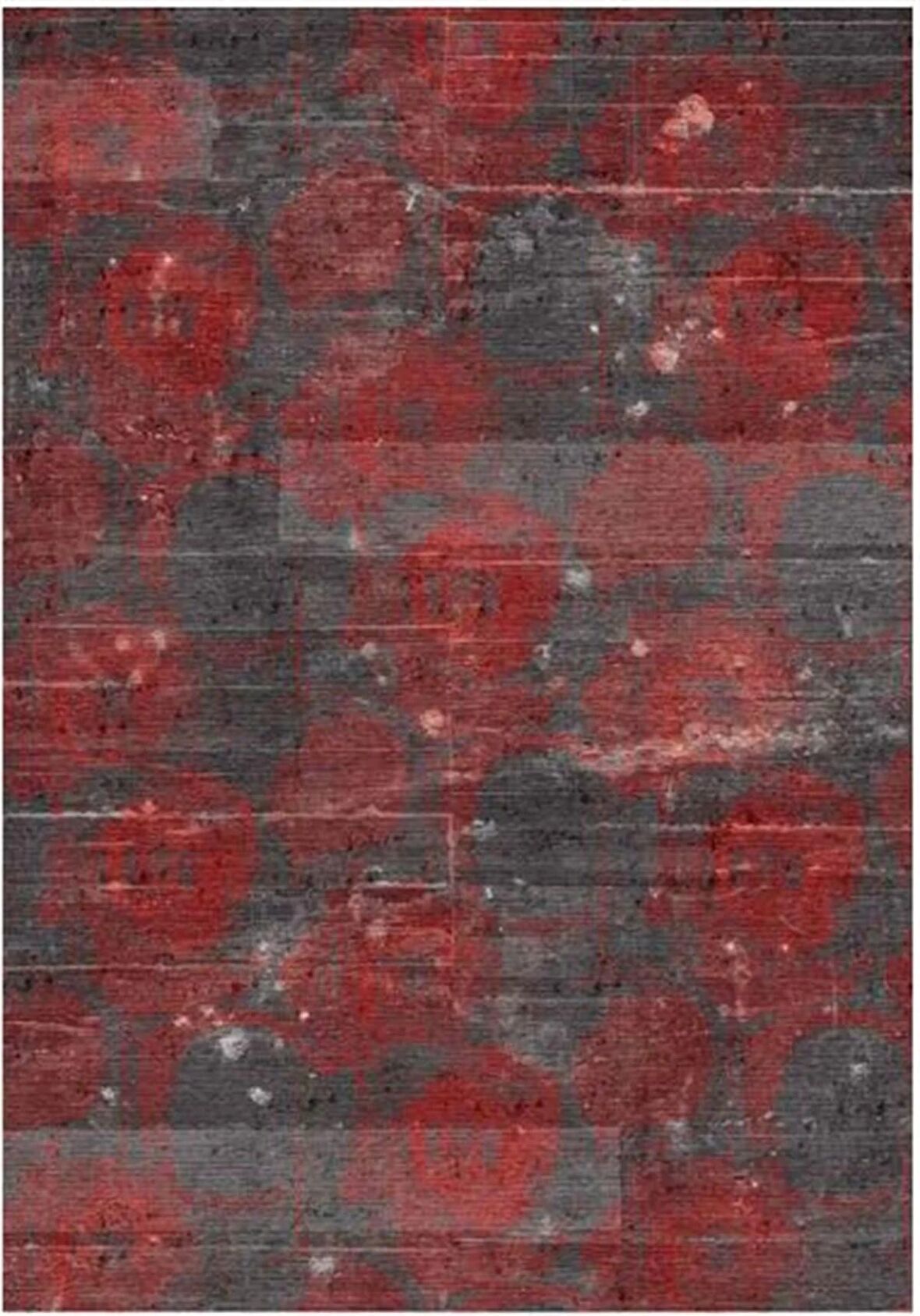 Çam Halı Gloria TD186 Kırmızı Modern Desen Dokuma Saçaklı Kilim