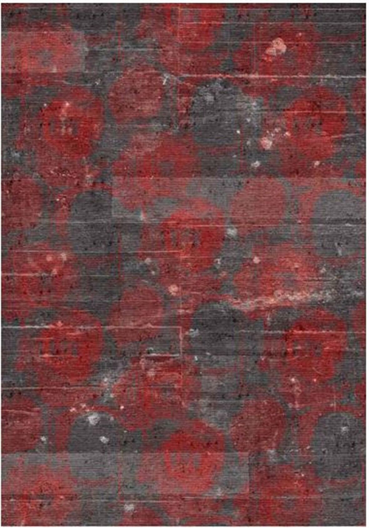 Çam Halı Gloria TD186 Kırmızı Modern Desen Dokuma Saçaklı Kilim