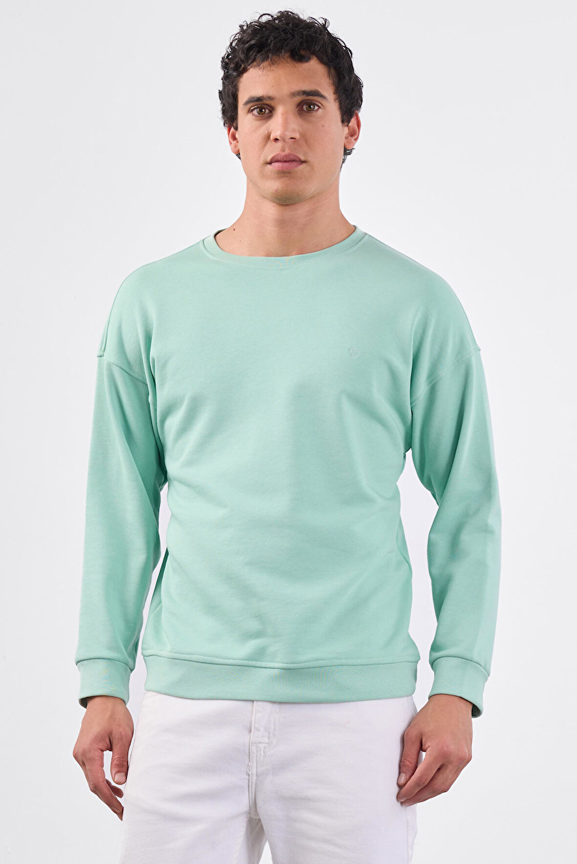 Mint Yeşili    Erkek Sweatshırt - Regular Fit