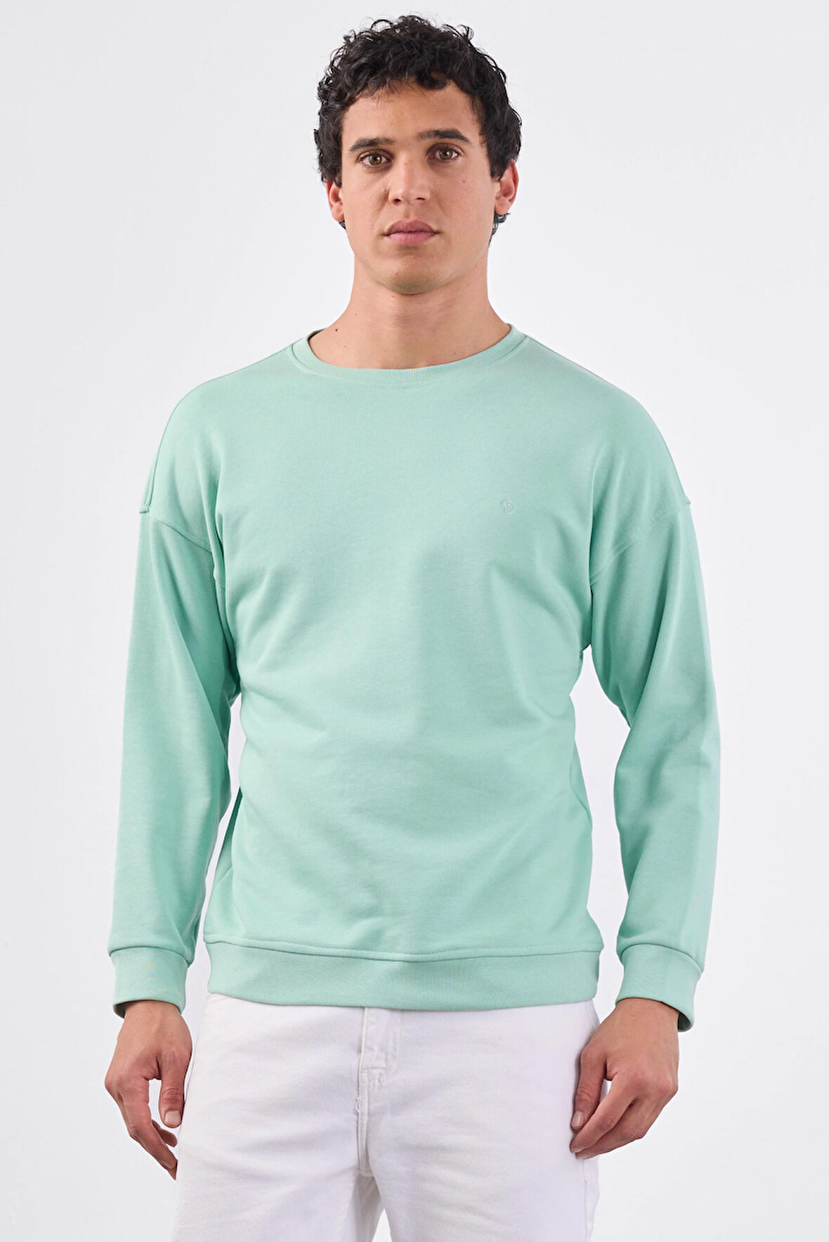 Mint Yeşili    Erkek Sweatshırt - Regular Fit