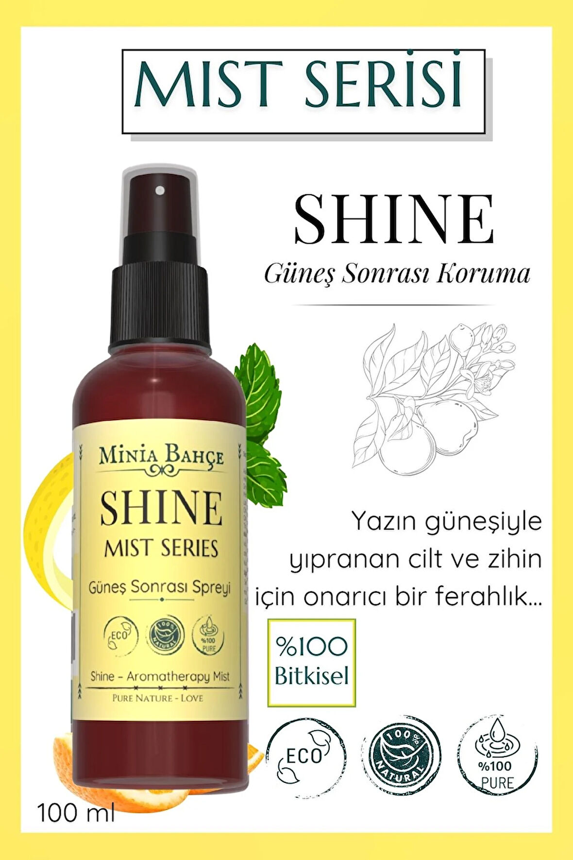SHINE Mist – Aloe Vera & Ölmez Çiçek Hidrosollü Ferahlatıcı Doğal Vücut Spreyi (100 ml)