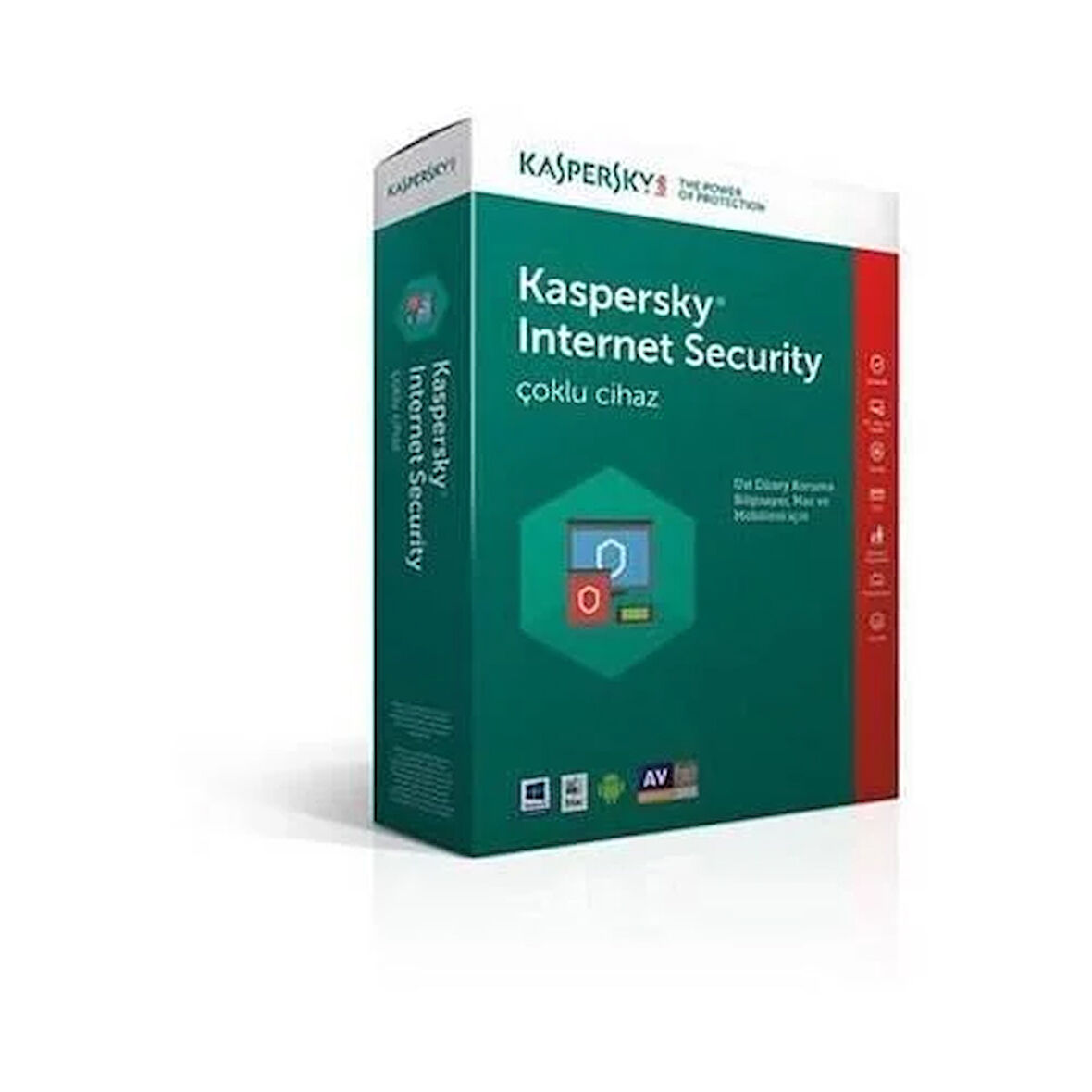Kaspersky Internet Security 4Kullanıcı 1Yıl