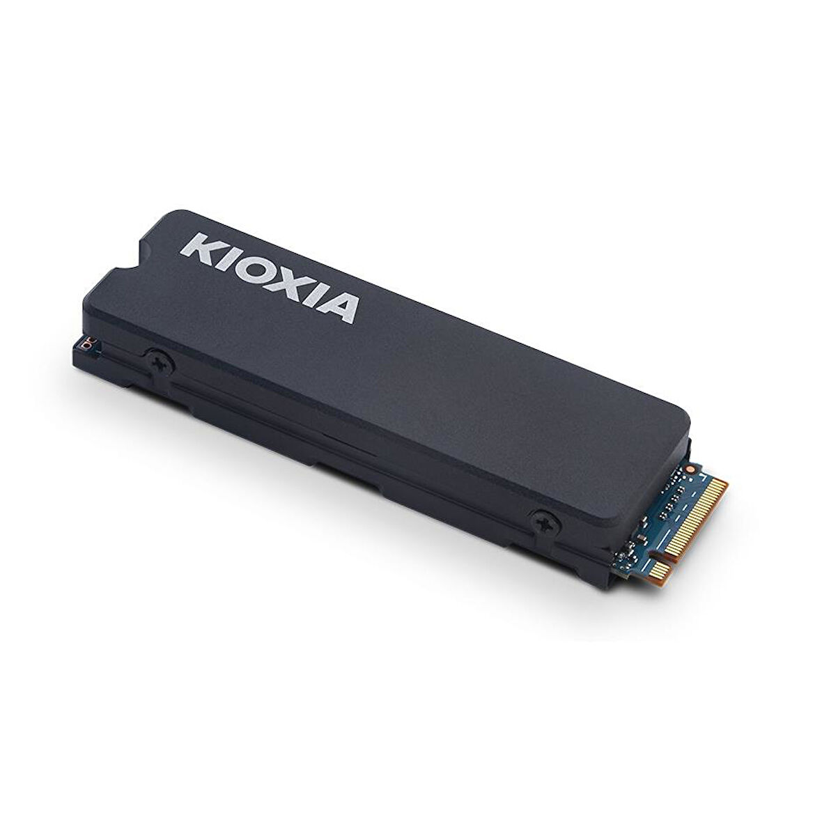 KIOXIA EXERIA HEATSINK 1TB 6200/4900MB/s GEN4 NVME SSD LSC11K1T02G8