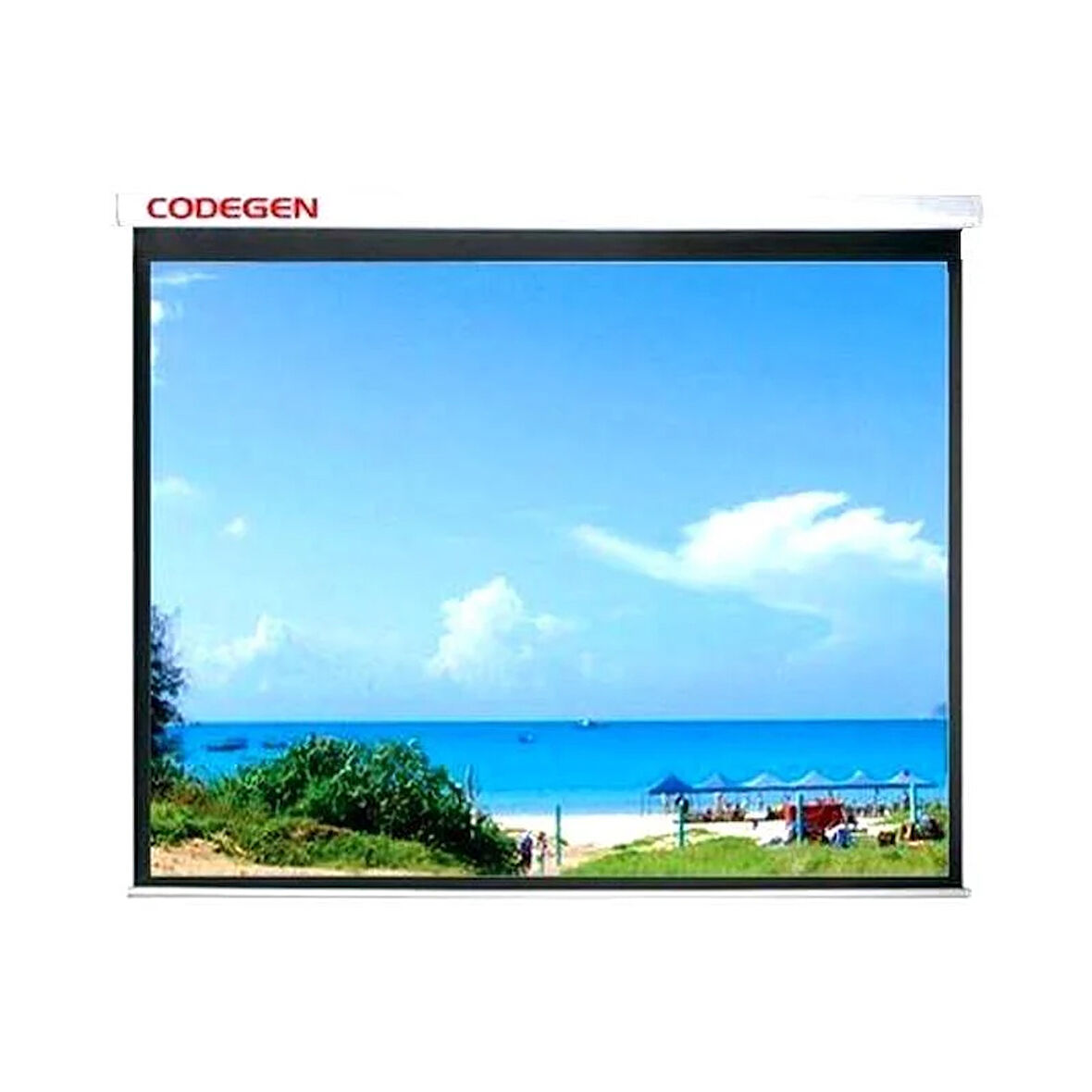 Codegen AX-20 Storlu Projeksiyon Perdesi 200 x 200