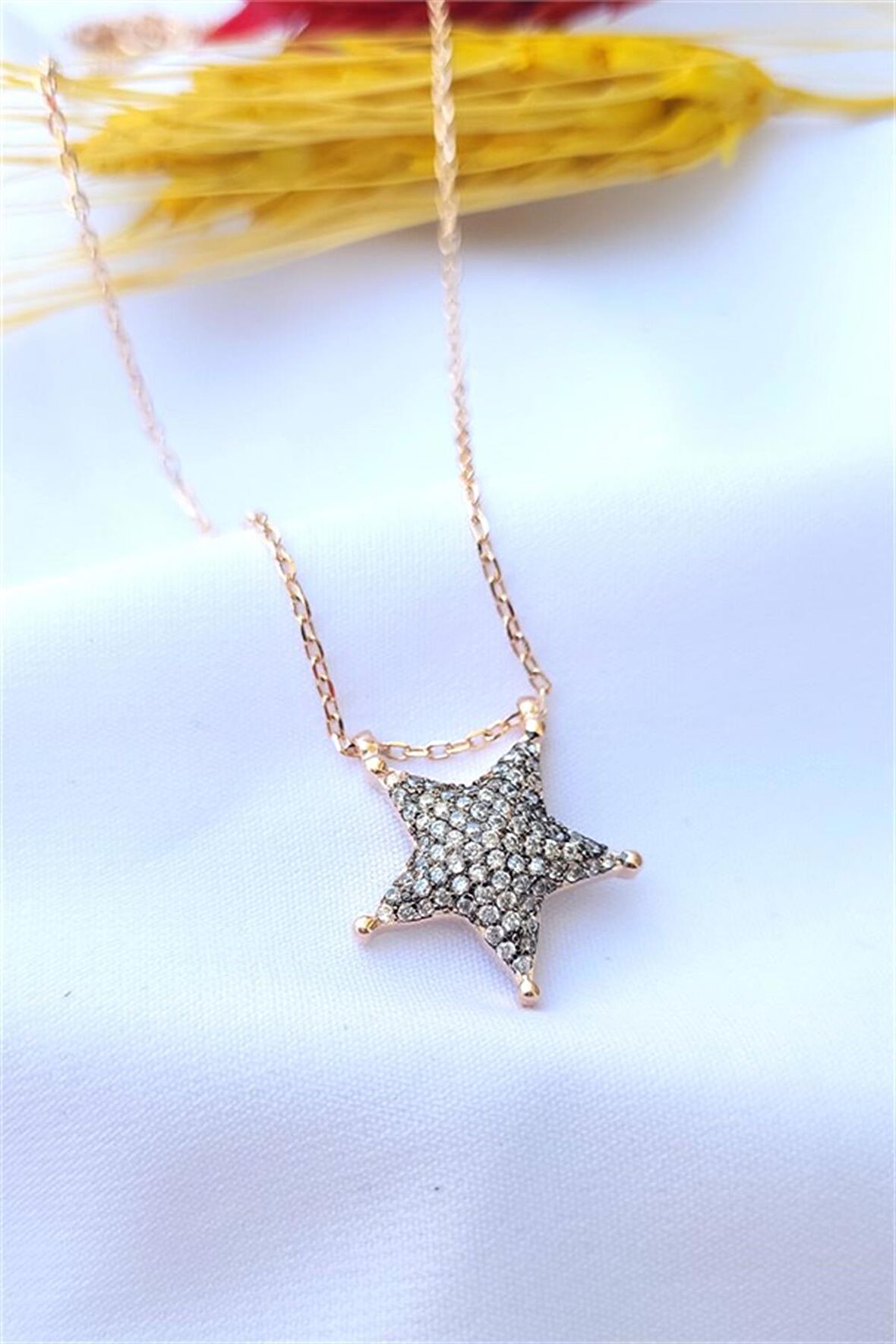 Zirkon Taşlı Gümüş Yıldız Kolye