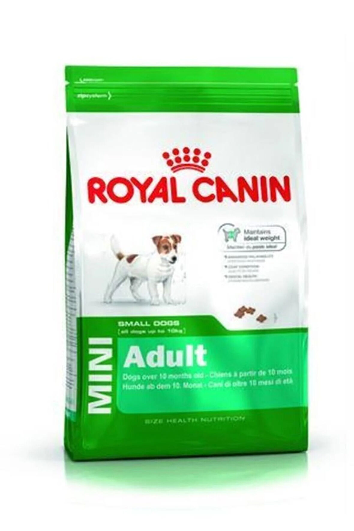 Dog Shn Mini Adult Köpek Maması 4 Kg