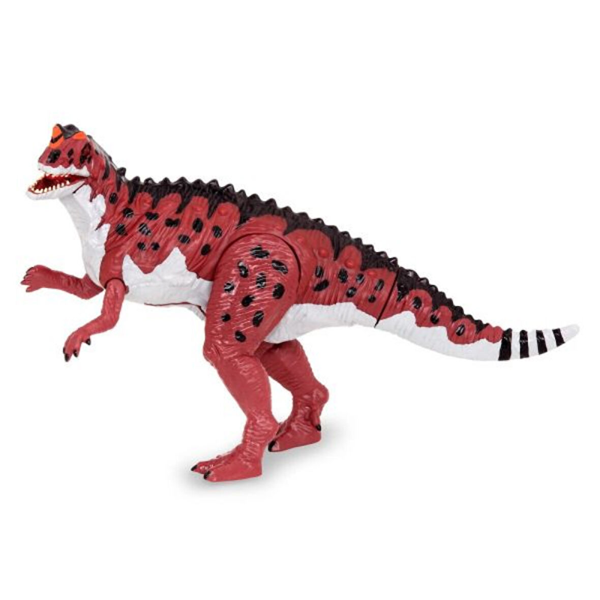 Terra Dinozor - Ceratosaurus