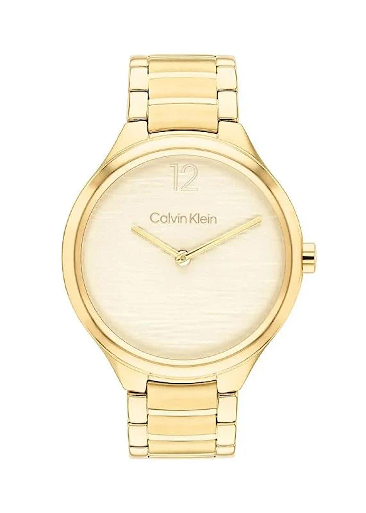 Calvin Klein CK25100048 Kadın Kol Saati