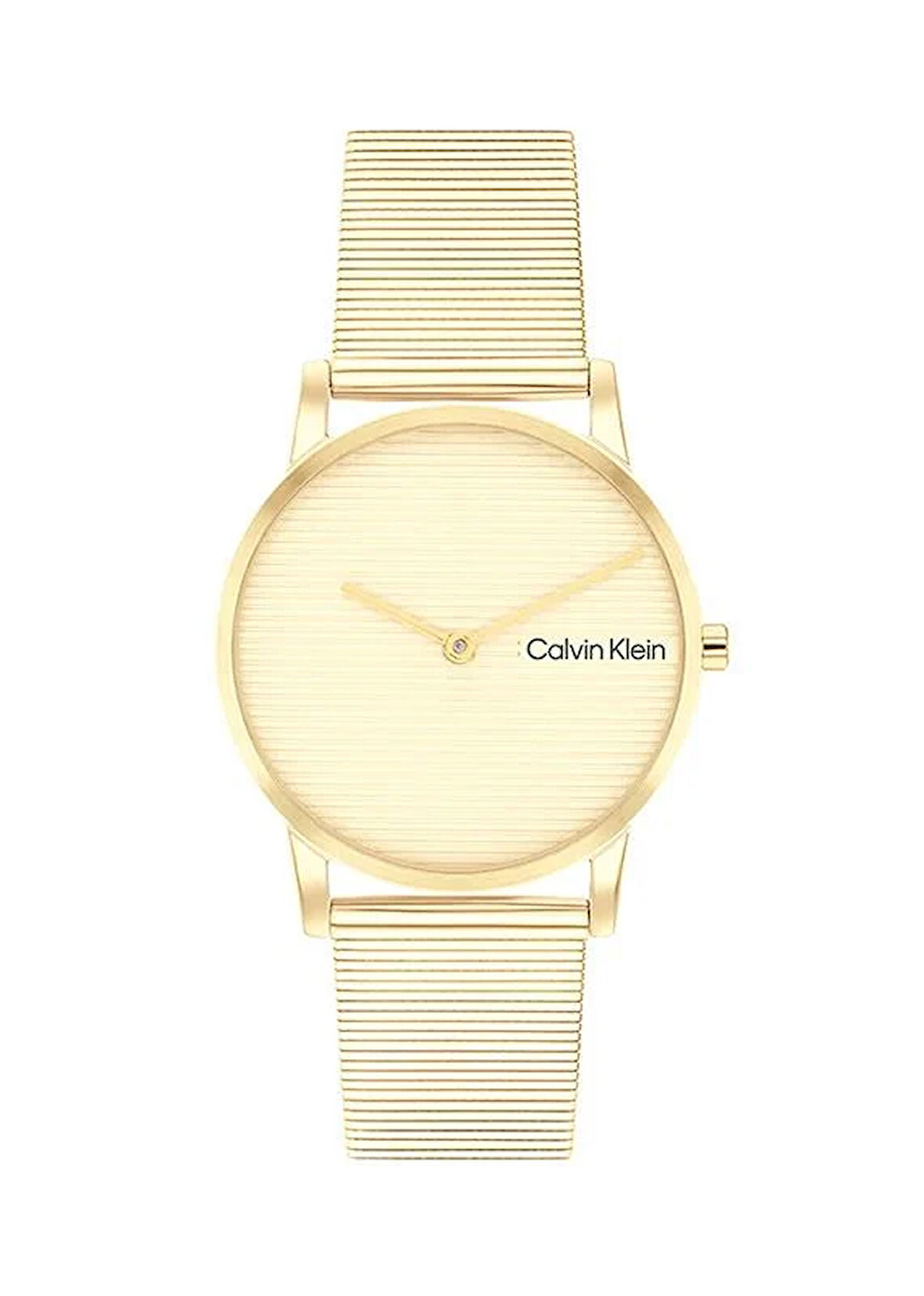 Calvin Klein CK25100035 Kadın Kol Saati