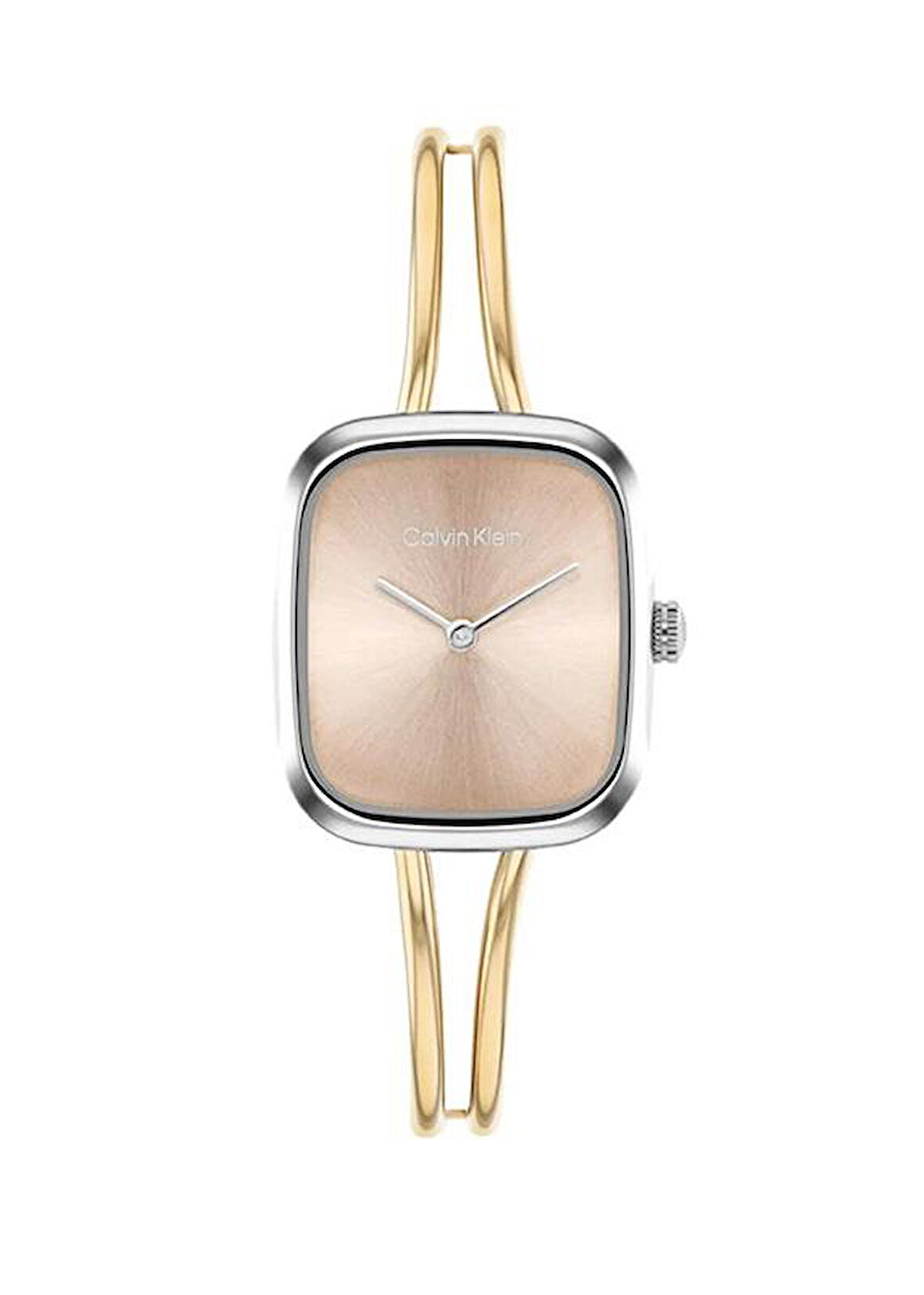 Calvin Klein CK25100134 Kadın Kol Saati