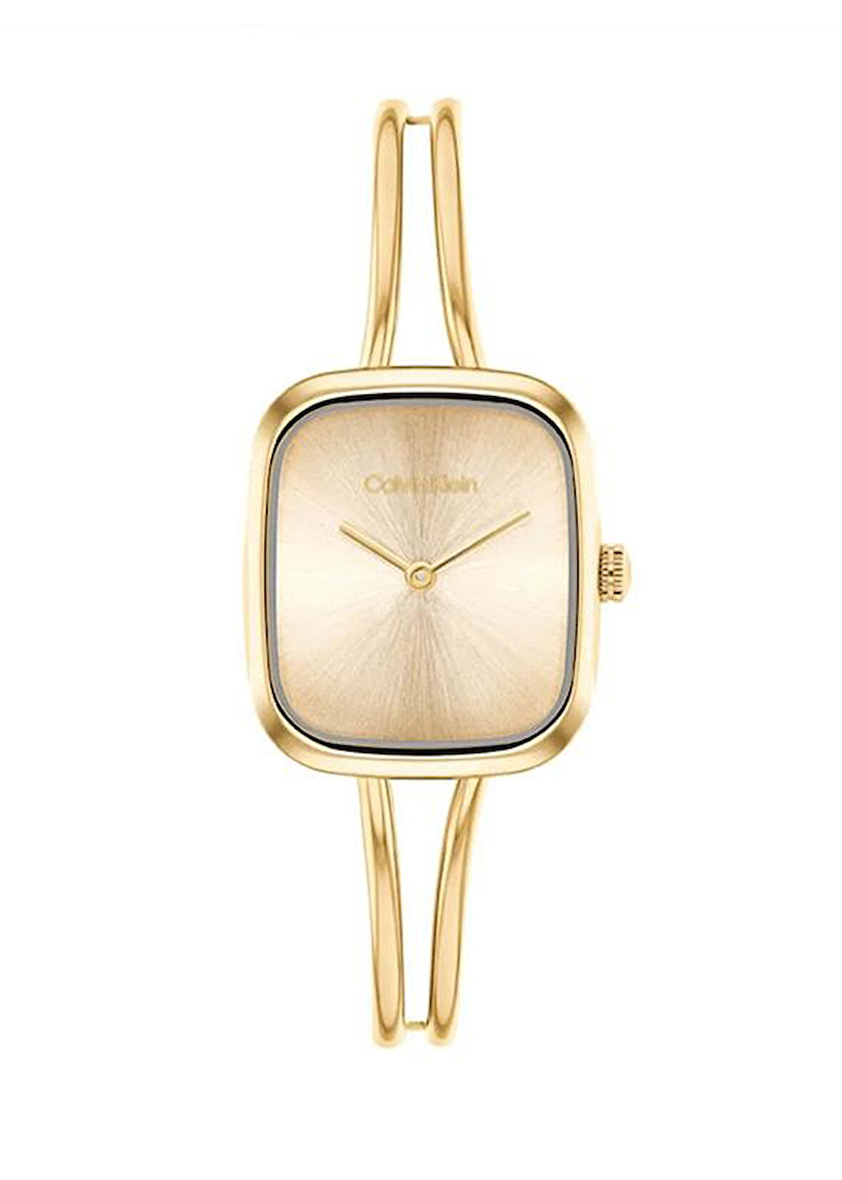 Calvin Klein CK25100132 Kadın Kol Saati