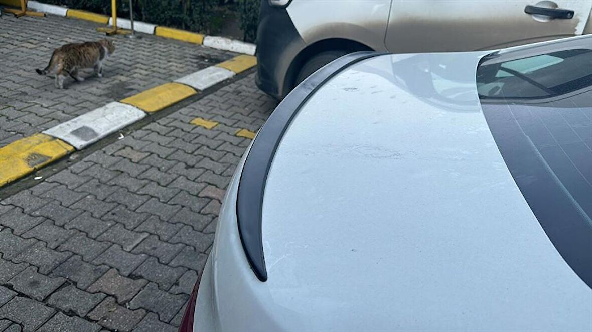 ŞOK FİYAT UNIVERSAL BAGAJ ÜSTÜ SPOİLER BAGAJ ÇITASI 124 CM