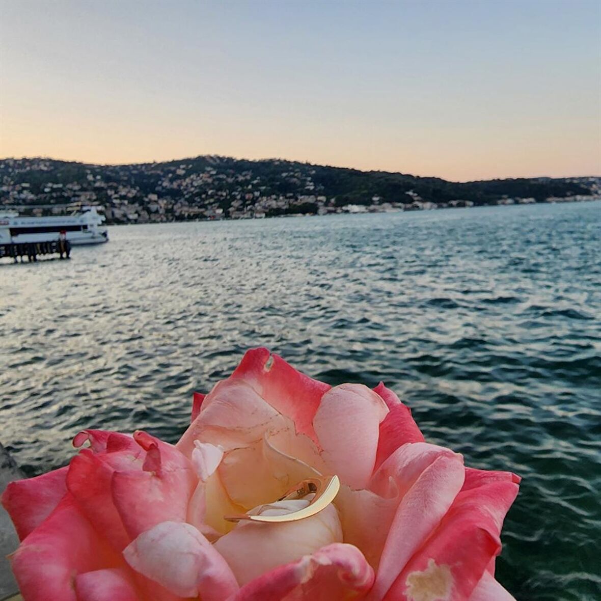 Yay 14 Ayar Altın Yüzük-Yay Taşsız Spor Tasarım Yüzük-Taşsız Hediye Modern Tasarım 14 Ayar Yüzük