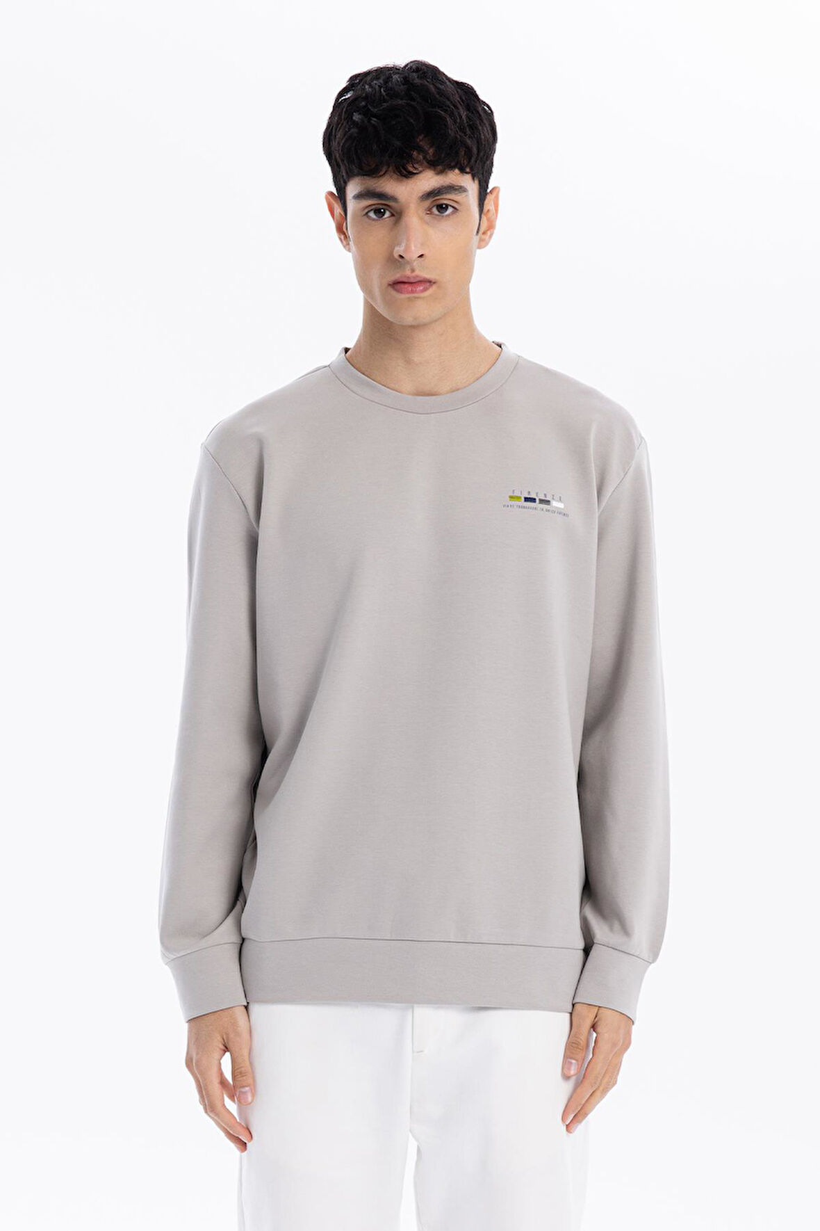 Bisiklet Yaka Göğsü Nakış Detaylı Colour Block Baskılı Erkek Sweatshirt